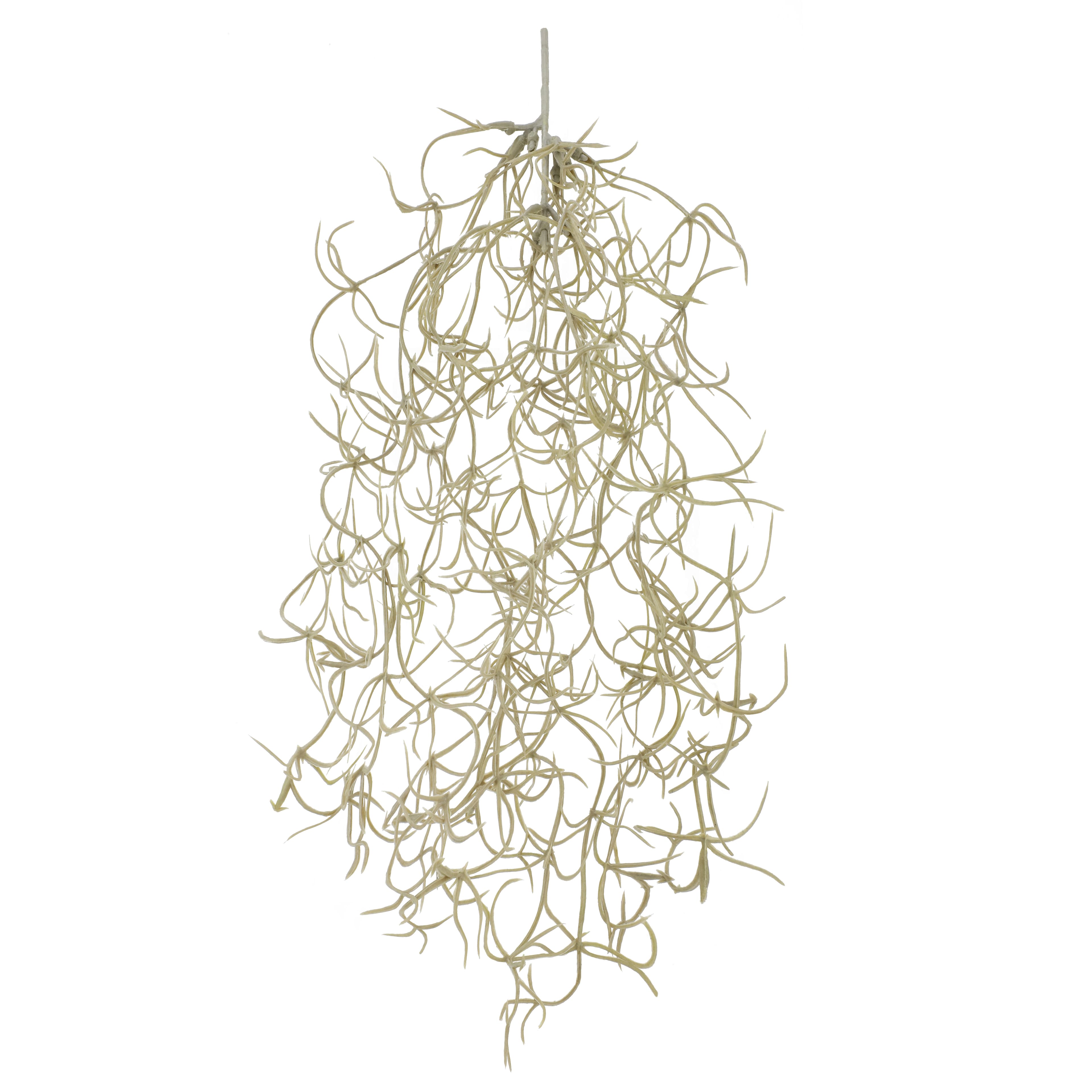 10" Gray Hanging Spanish Moss Pick by Ashland®