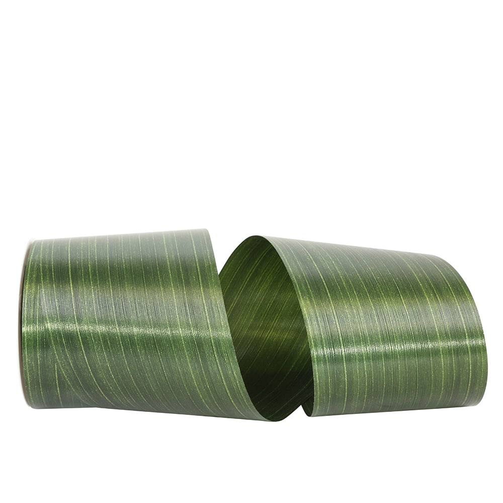 Reliant 4" x 25yd. Aspid Decor Rd Plastic Ribbon