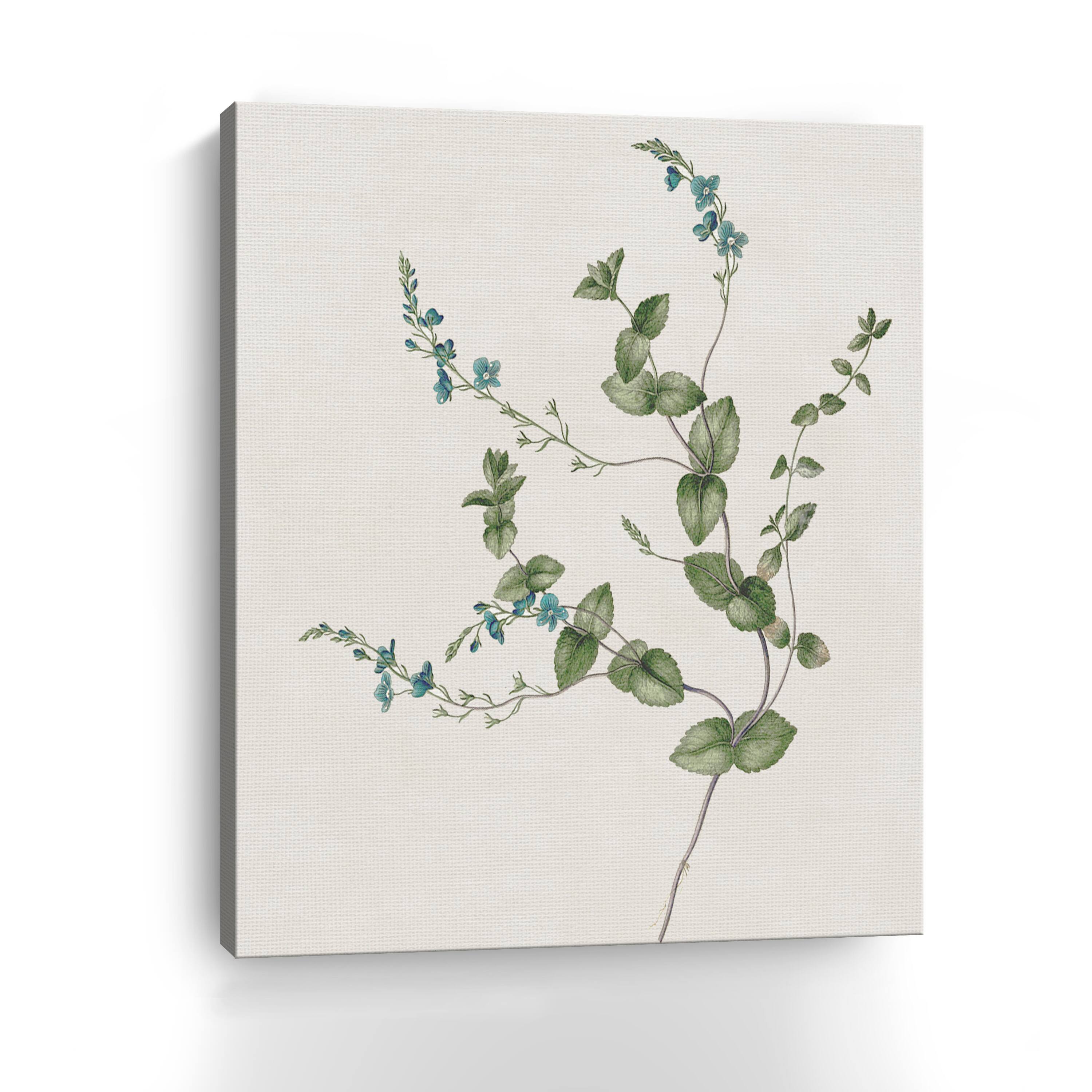 Blue Wispy II Canvas Giclee