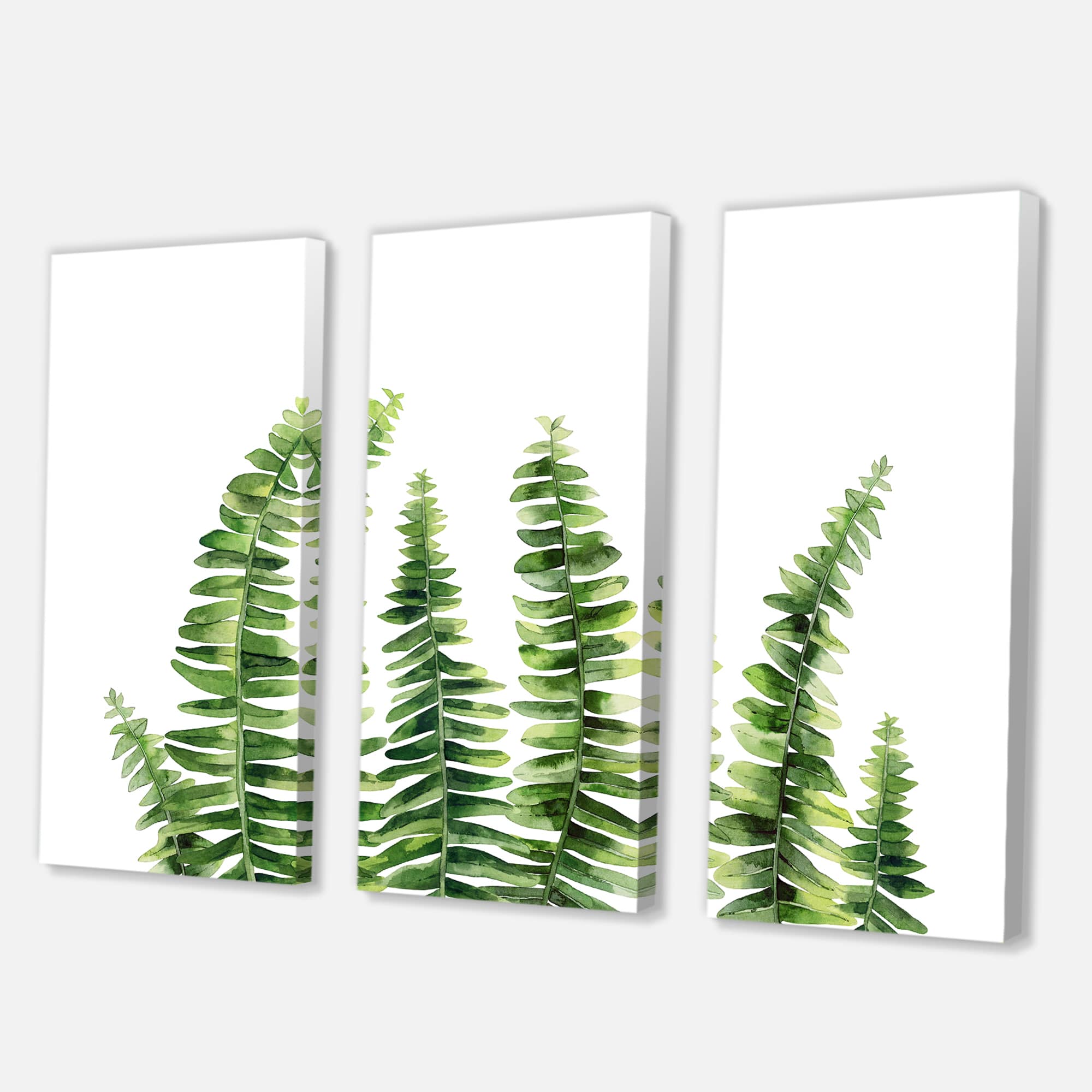 Designart - Fern Leaves Detail II - Farmhouse Canvas Wall Art Print