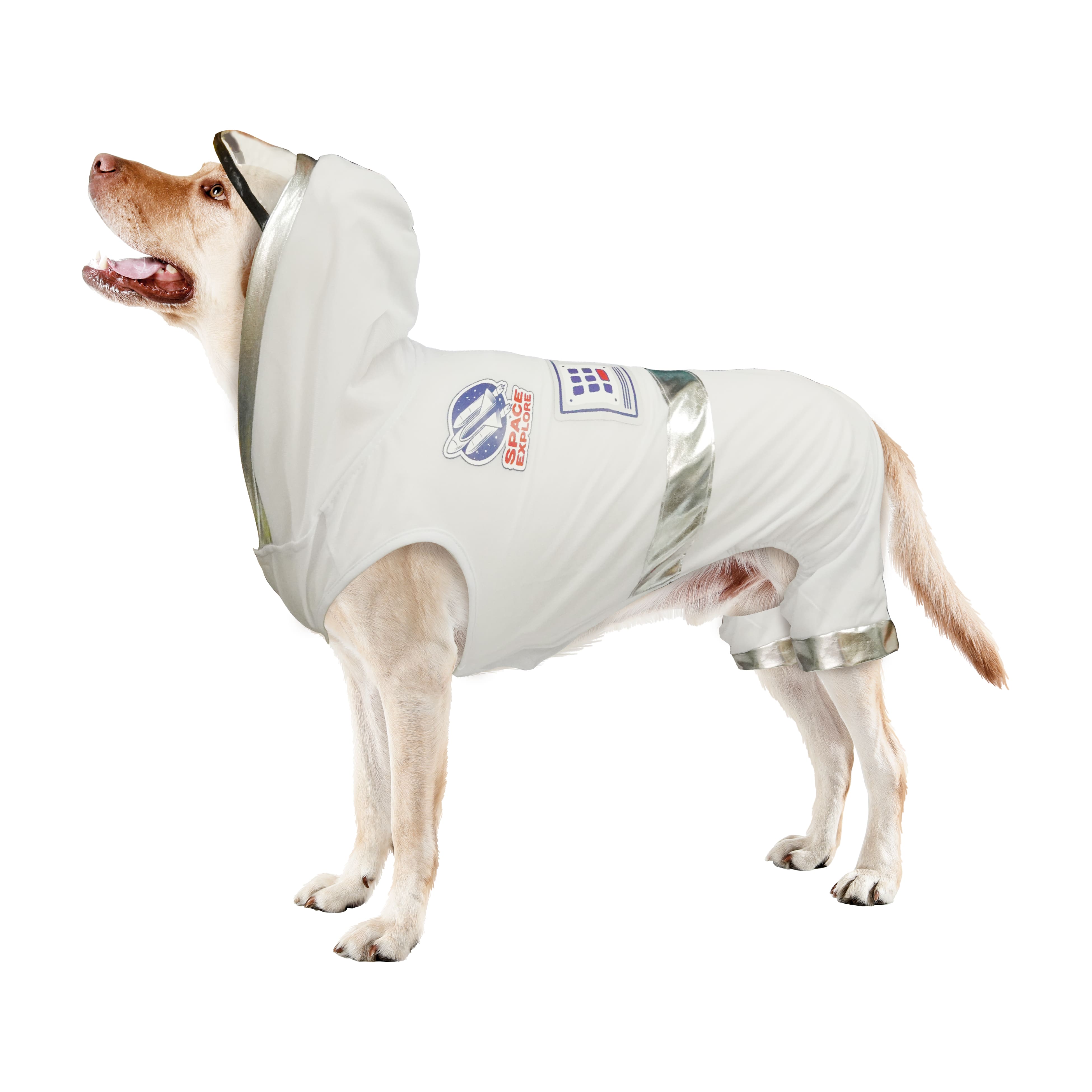 Best Furry Friends Astronaut Pet Costume