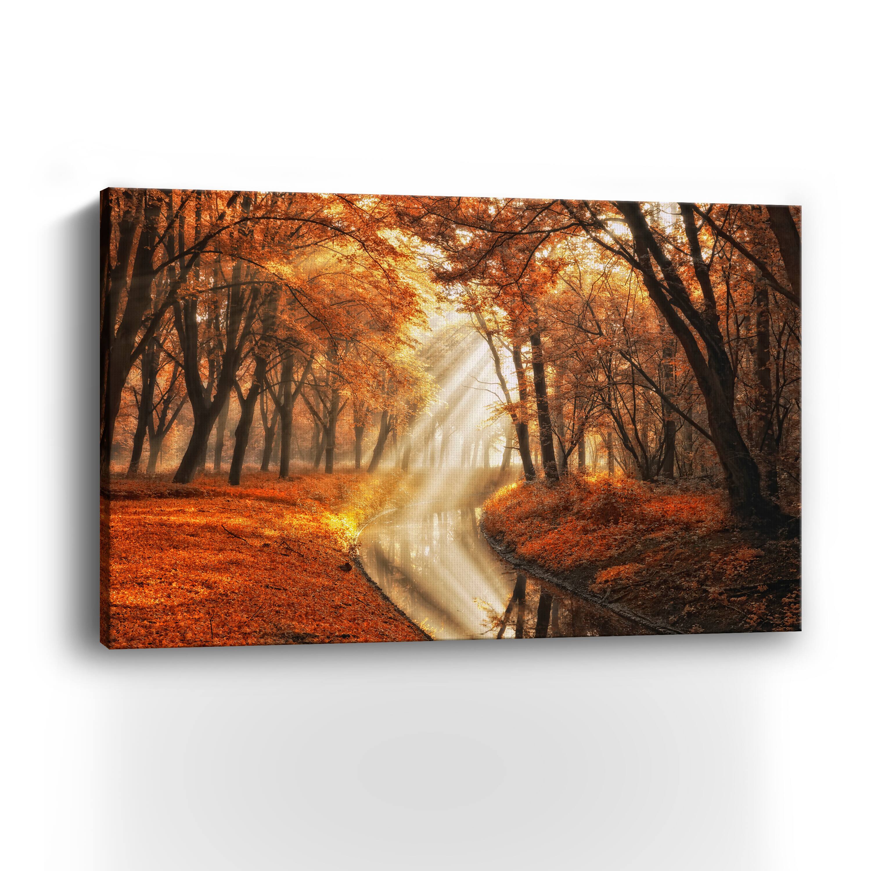 Little Black Duck Canvas Giclee