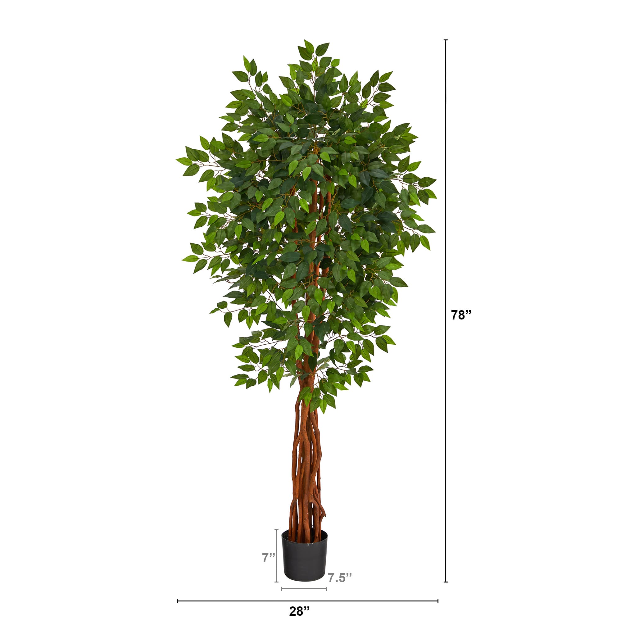 6.5ft. Potted Super Deluxe Ficus Tree