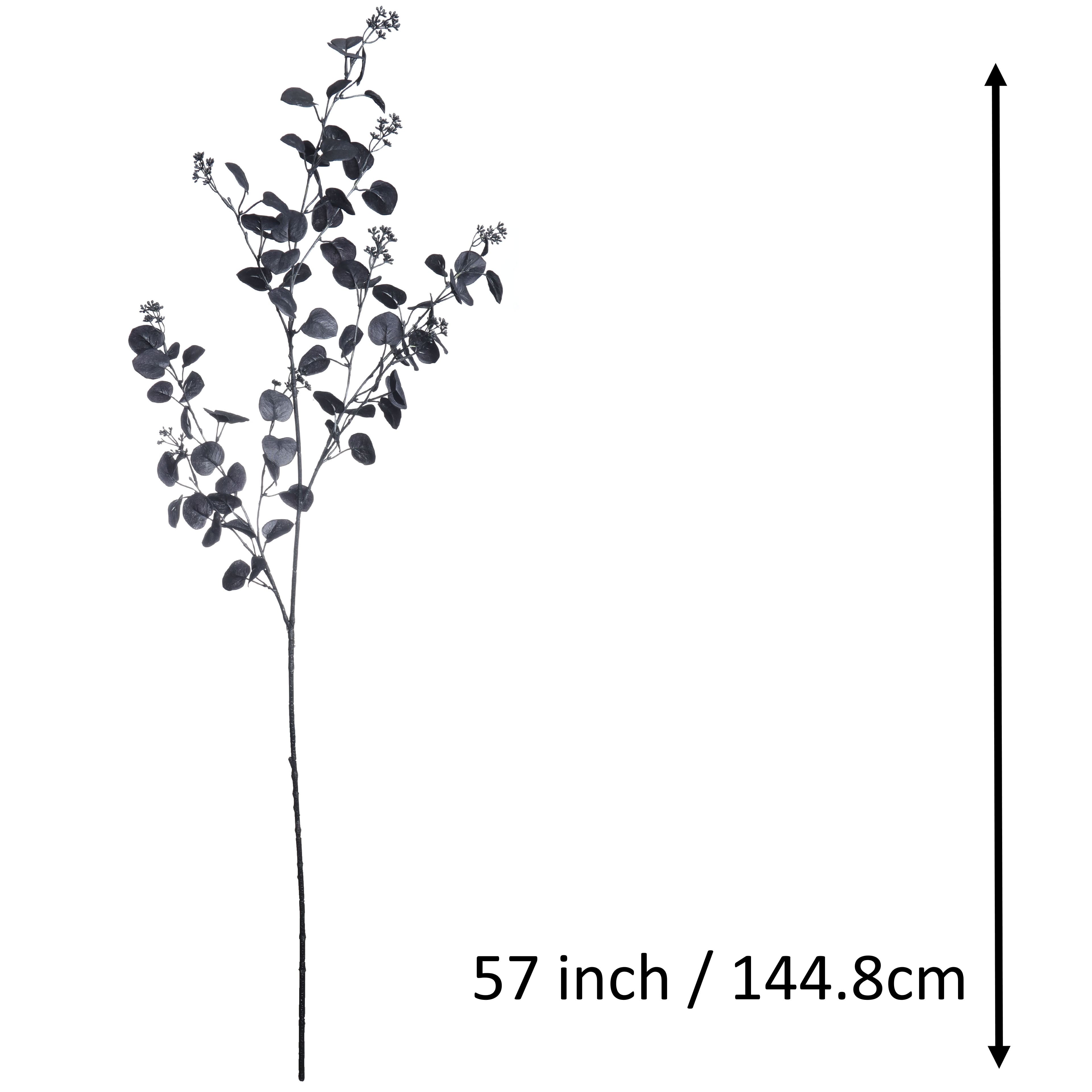 57" Black Eucalyptus with Seed Oversized Stem by Ashland®