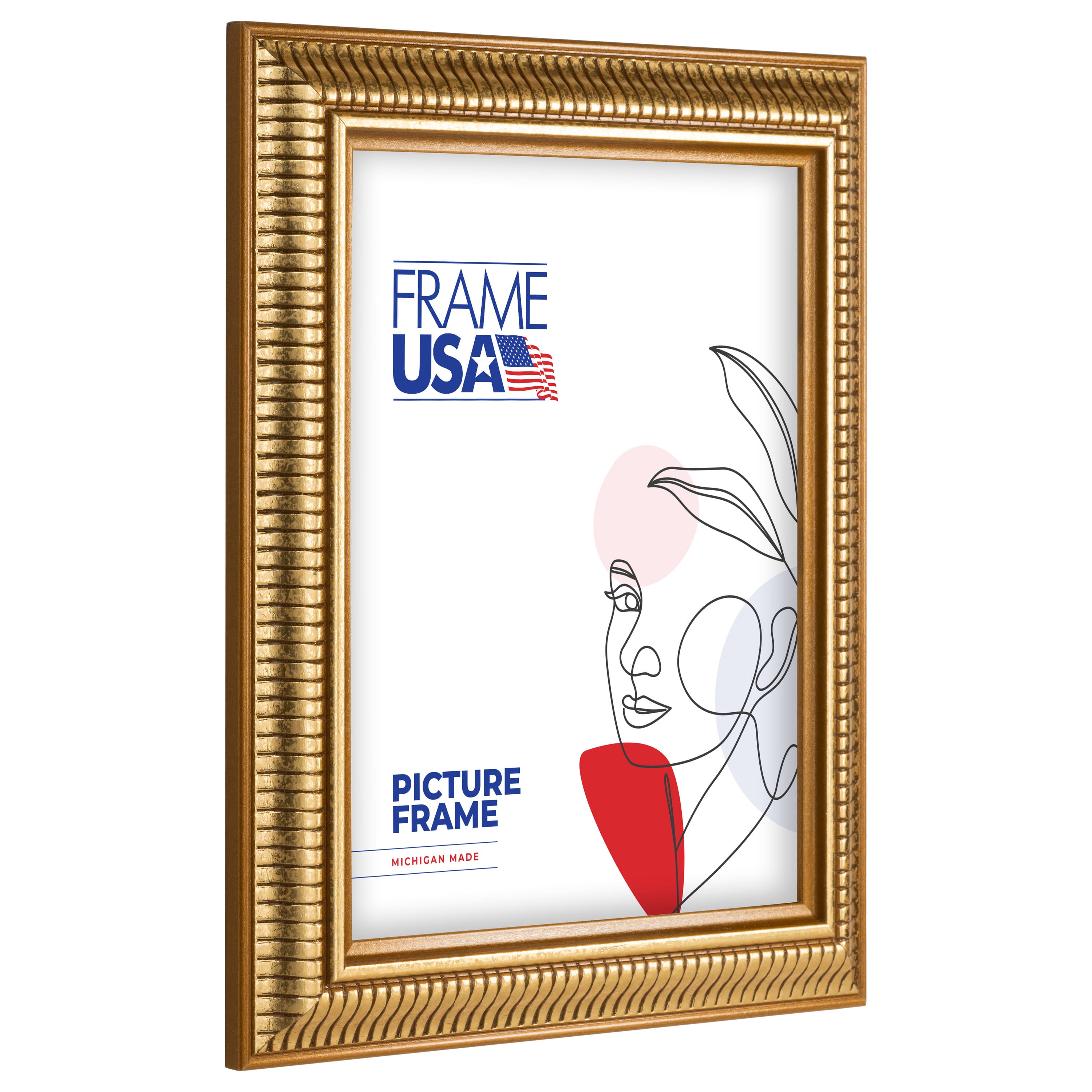Frame USA American Value 797 Gold Single Image Picture Frame