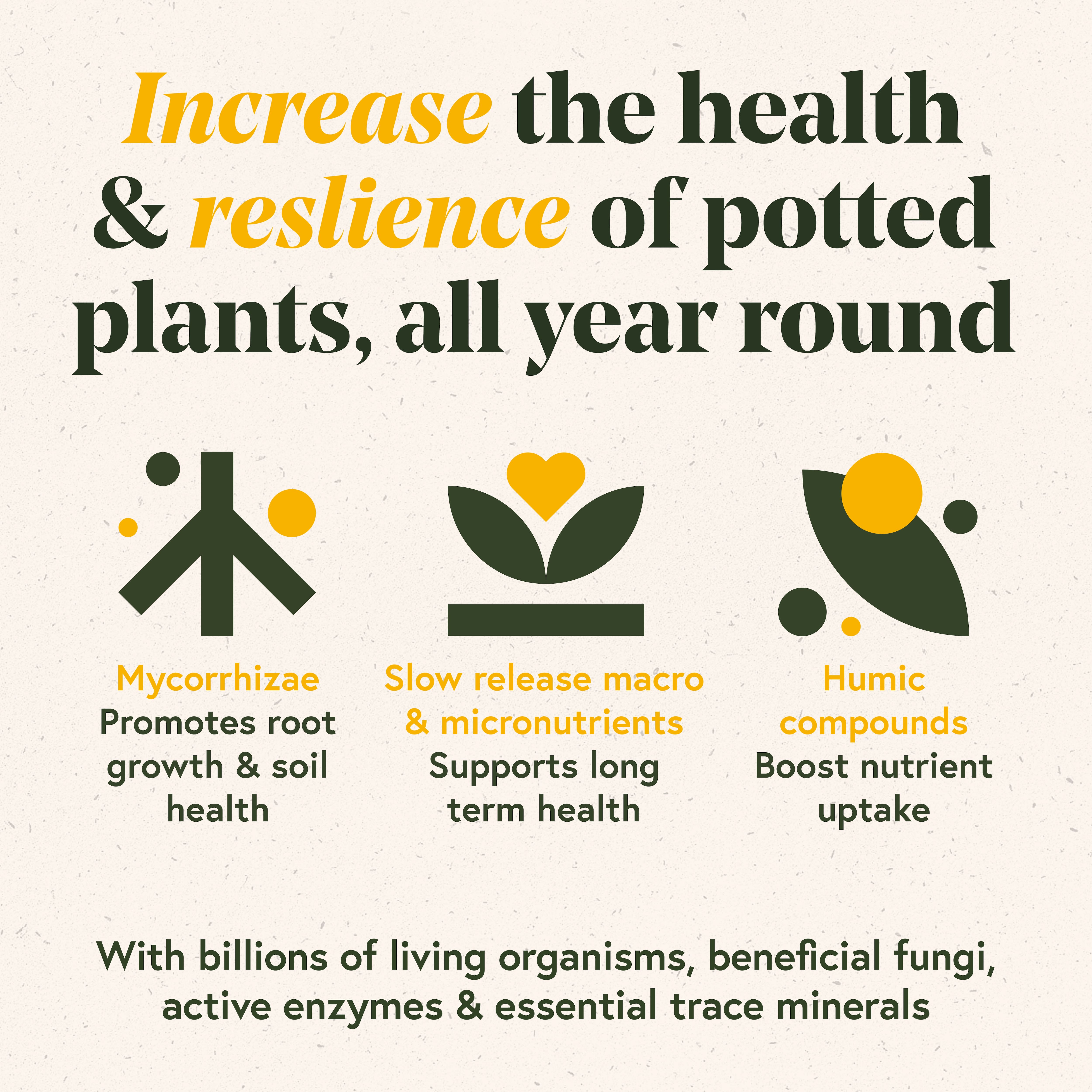 We The WIld™ 8.8oz. Enrich Powder Slow-Release Organic Soil Amendment & Plant Food for Houseplants