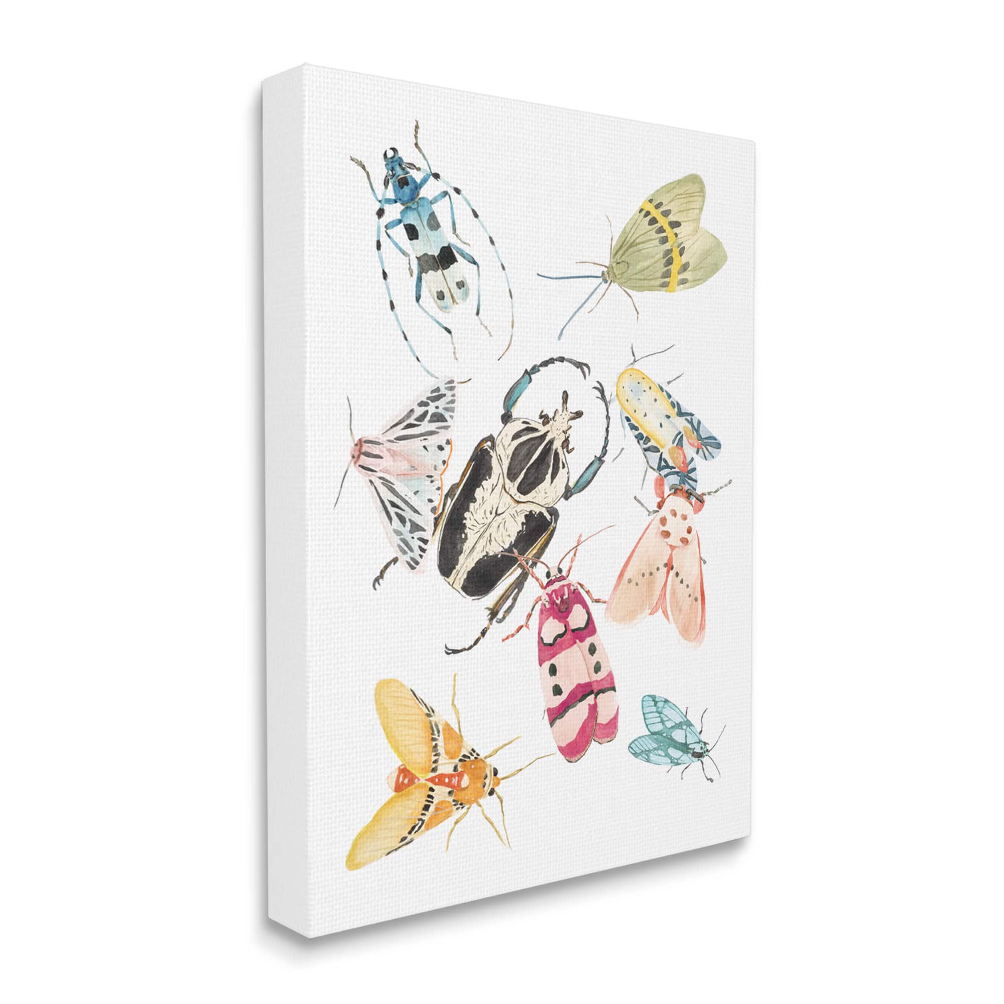 Stupell Industries Garden Insect Arrangement Charming Winged Creatures Canvas Wall Art
