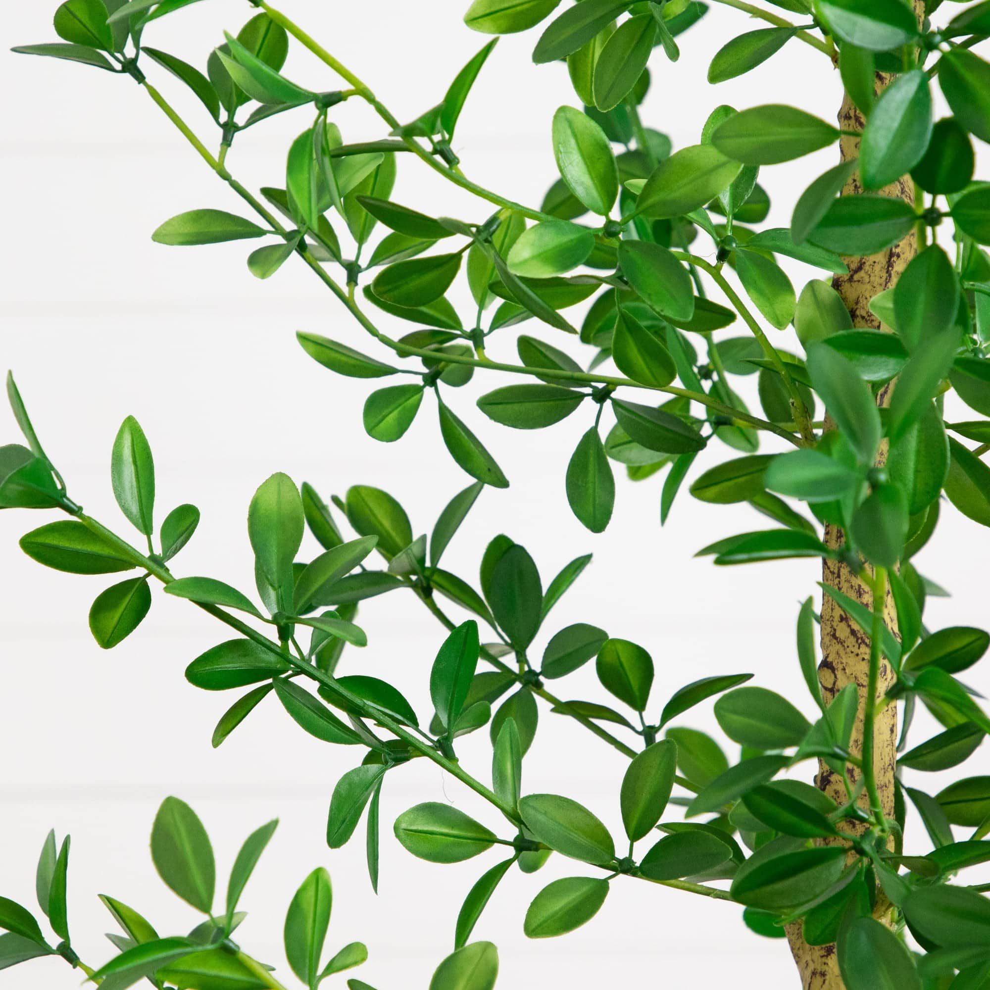 7ft. Artificial Shady Lady Black Olive Tree