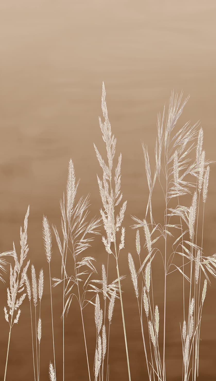Designs Direct Willow Grass Wall Mural
