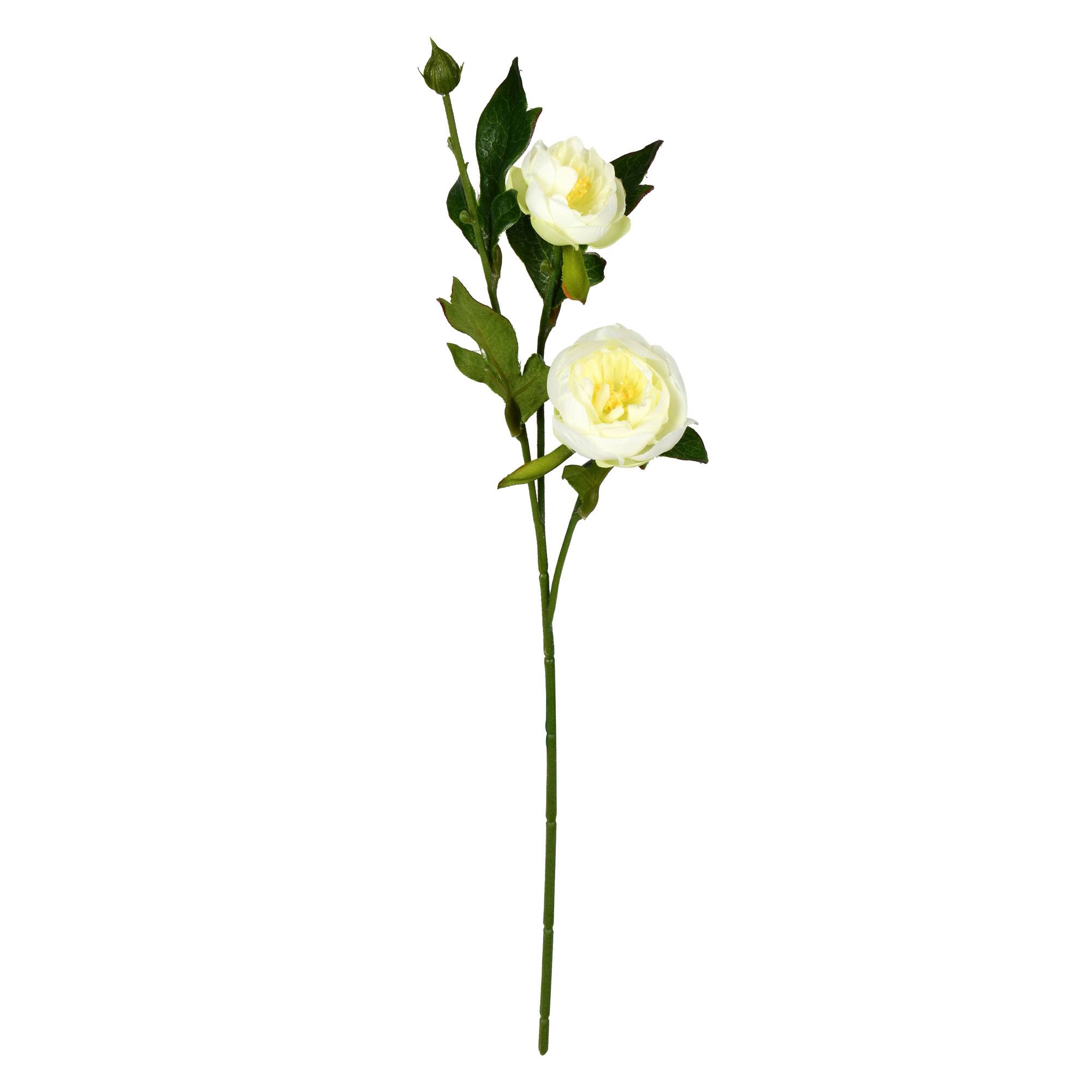 6 Pack: Cream Peony Spray