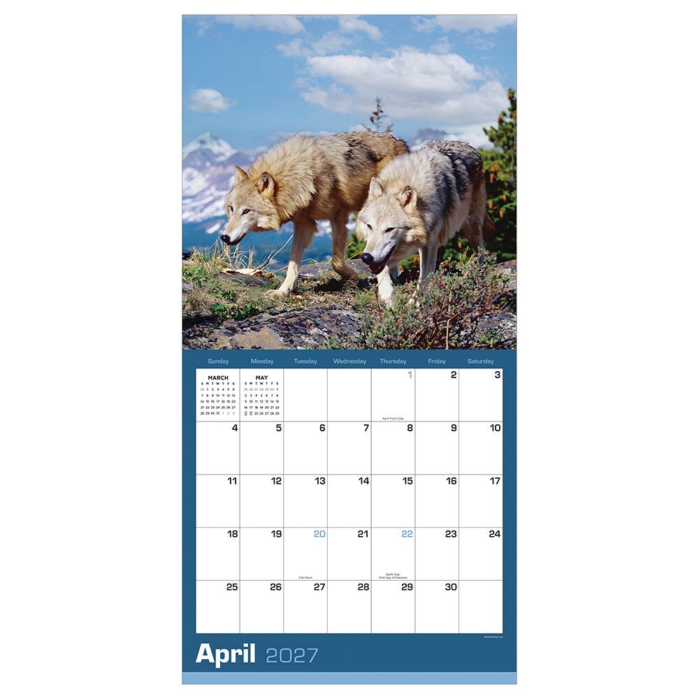 2027 Wolves Wall Calendar