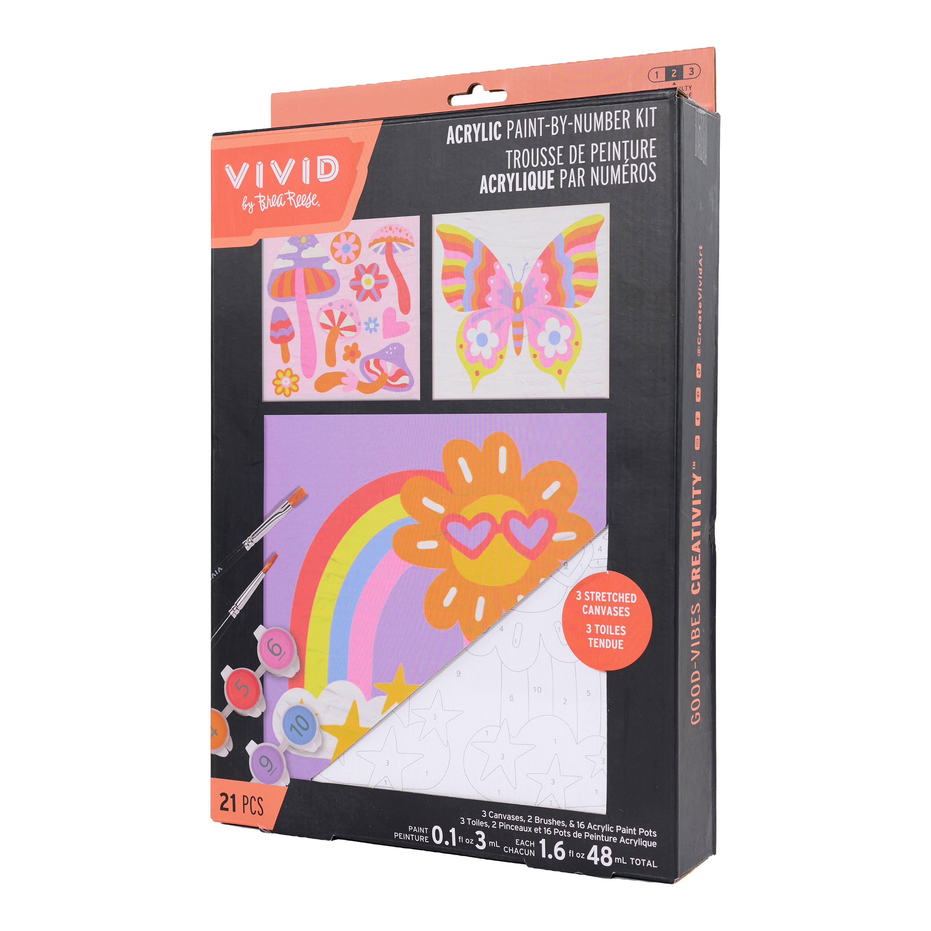 Vivid by Brea Reese® Rainbows & Butterflies Acrylic Paint-by-Number Kit