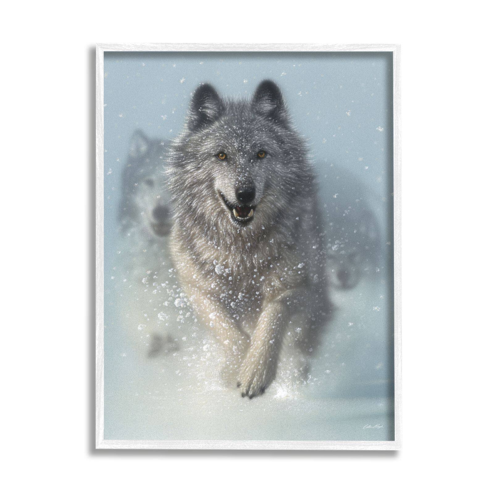 Stupell Industries Wolves Running Through Snow Siberian Wild Winter Animals Framed Wall Art