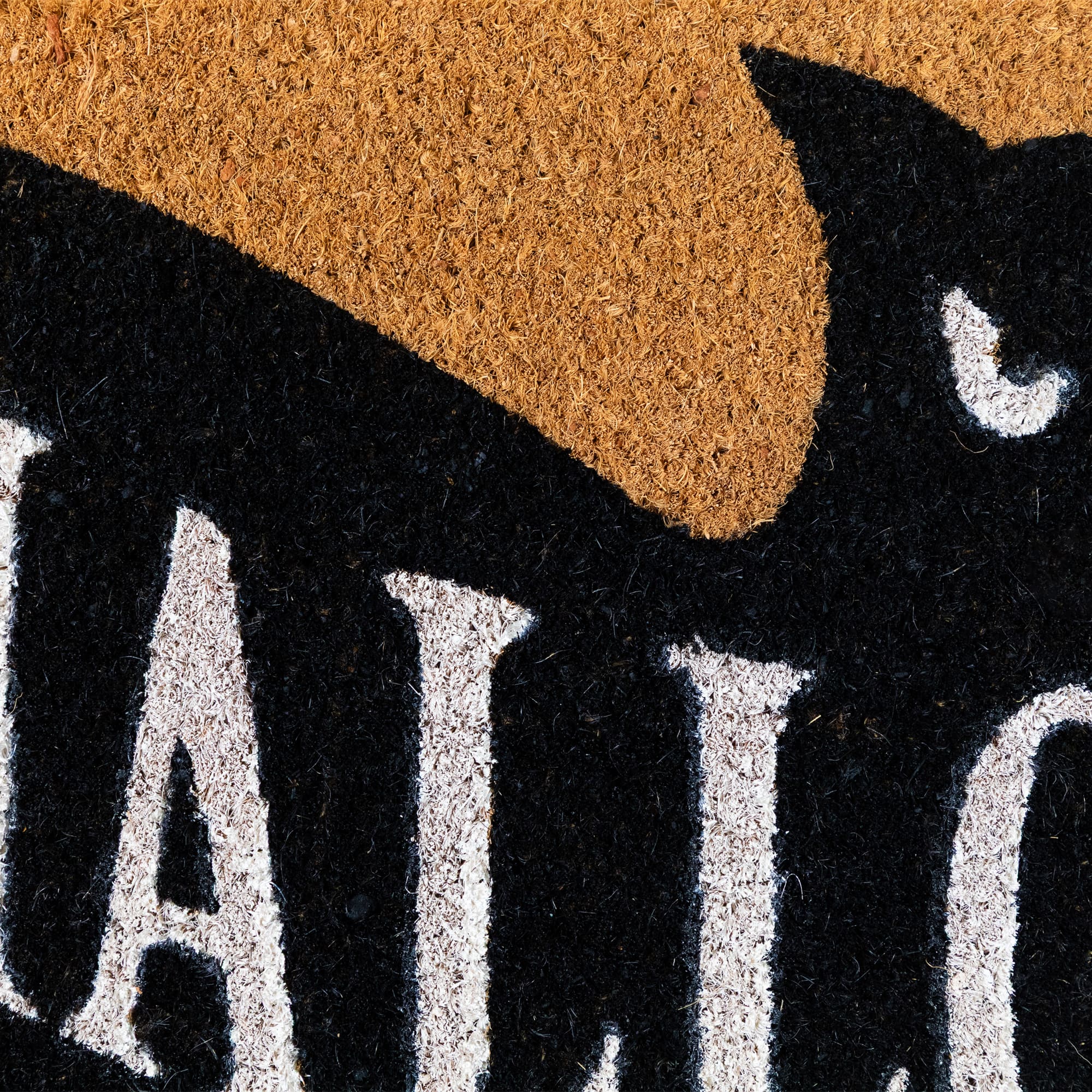 Natural Coir Halloween Bat Shaped Doormat