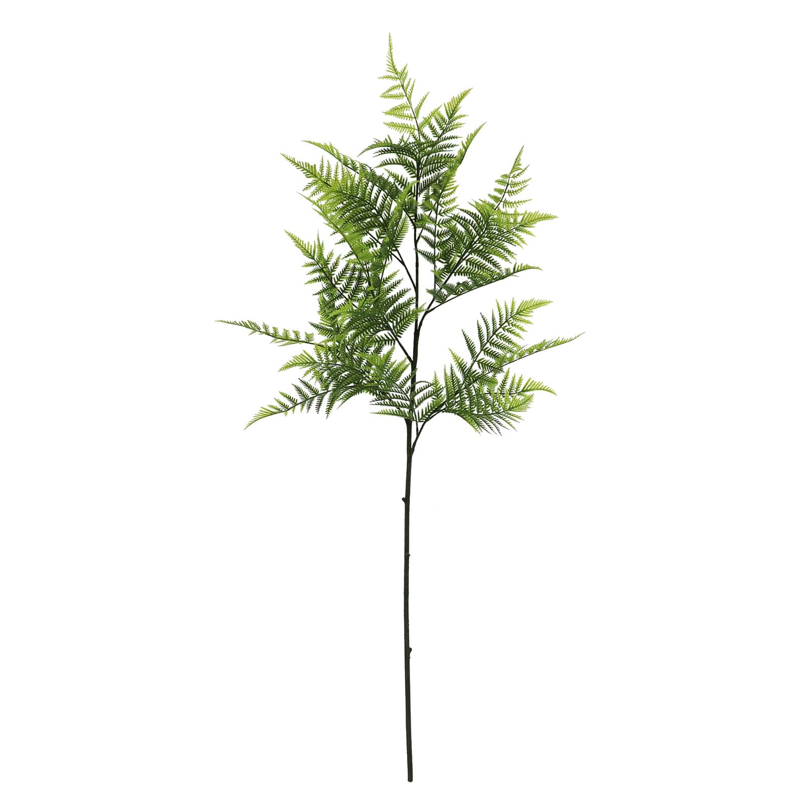 50" Green Fern Leaf Stem by Ashland®