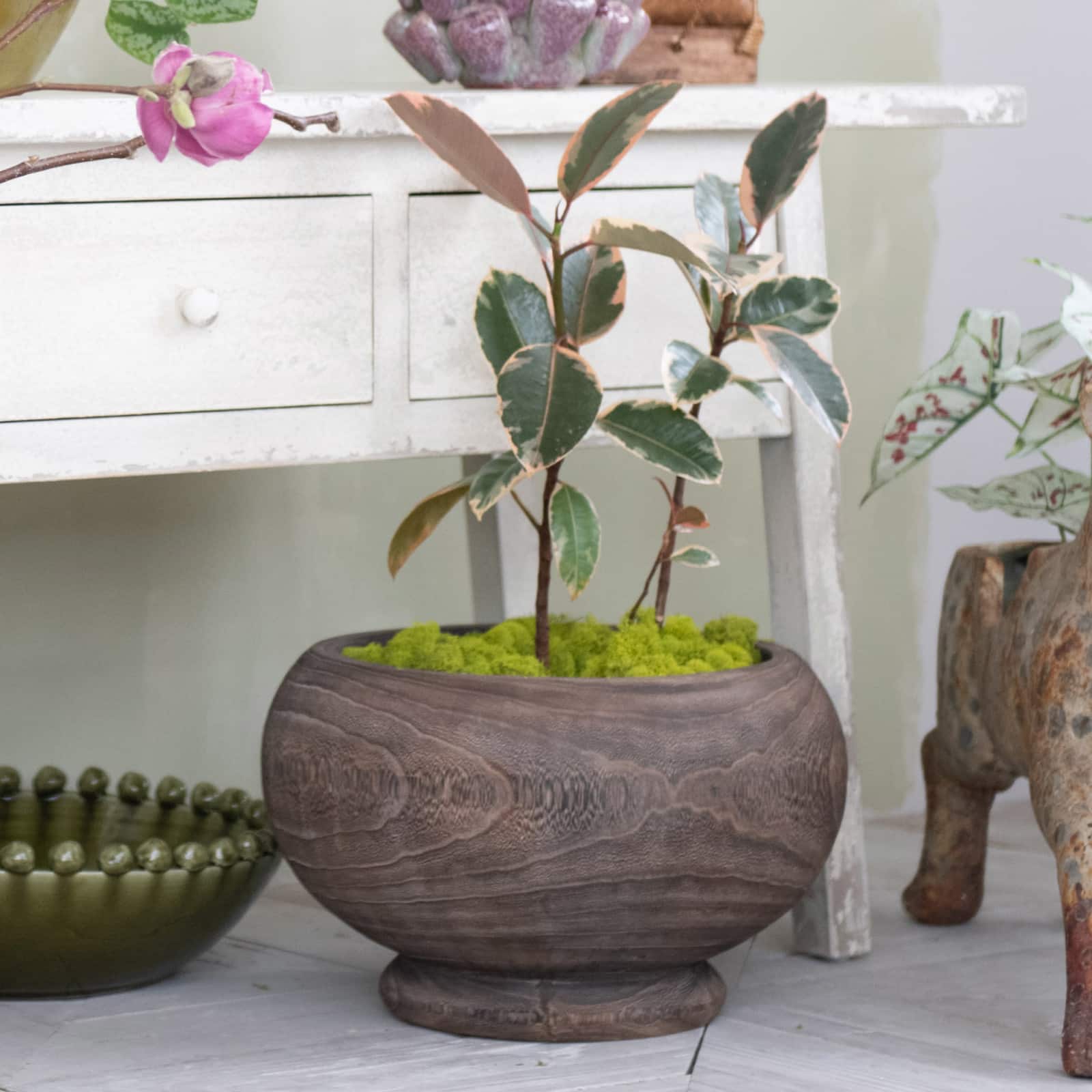 Hello Honey® Stained Round Paulownia Wood Planter