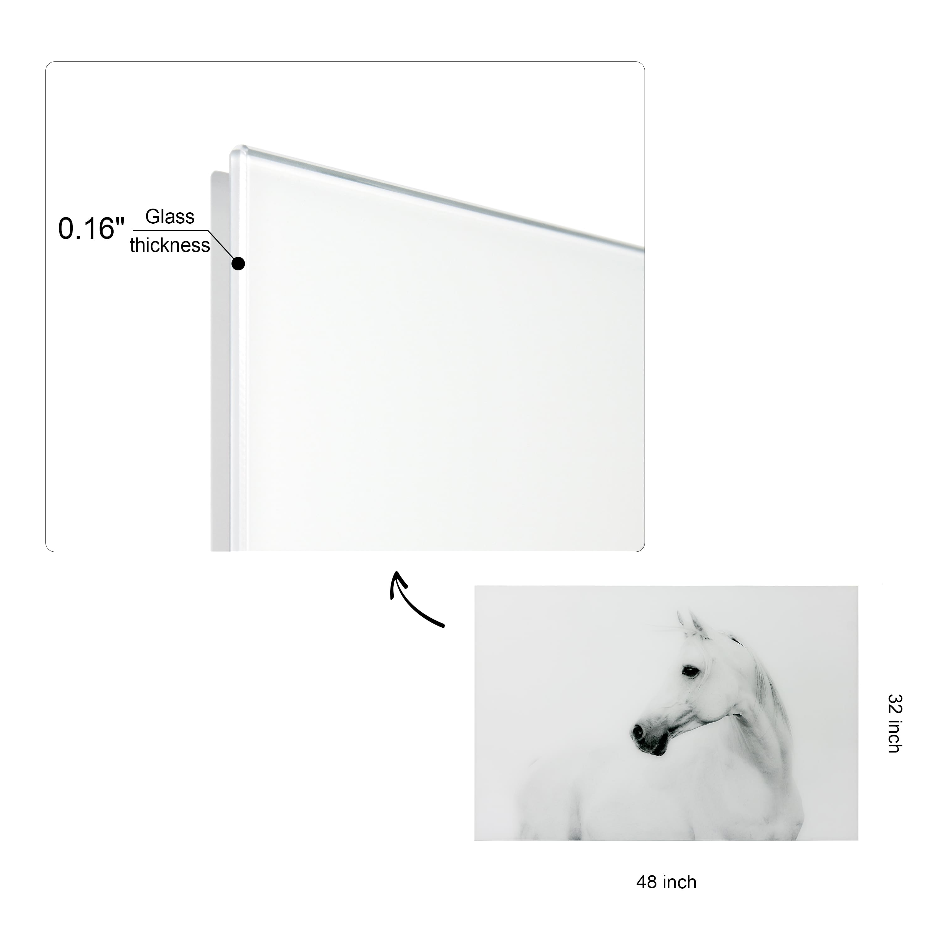 Empire Art Direct 48" x 32" Blanco Stallion Horse Frameless Printed Tempered Glass Wall Art