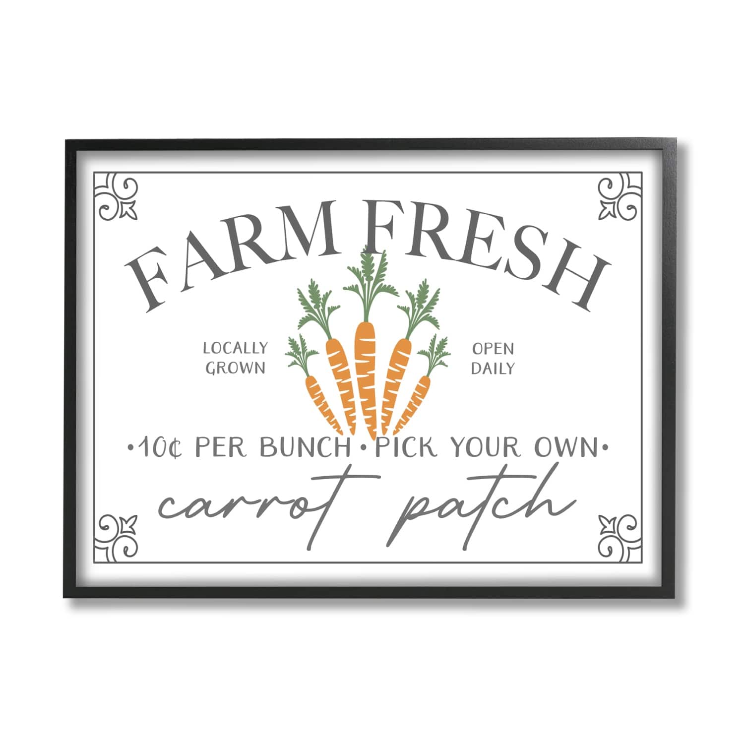 Stupell Industries Farm Fresh Carrot Patch Seasonal Springtime Vegetables Framed Giclee Art