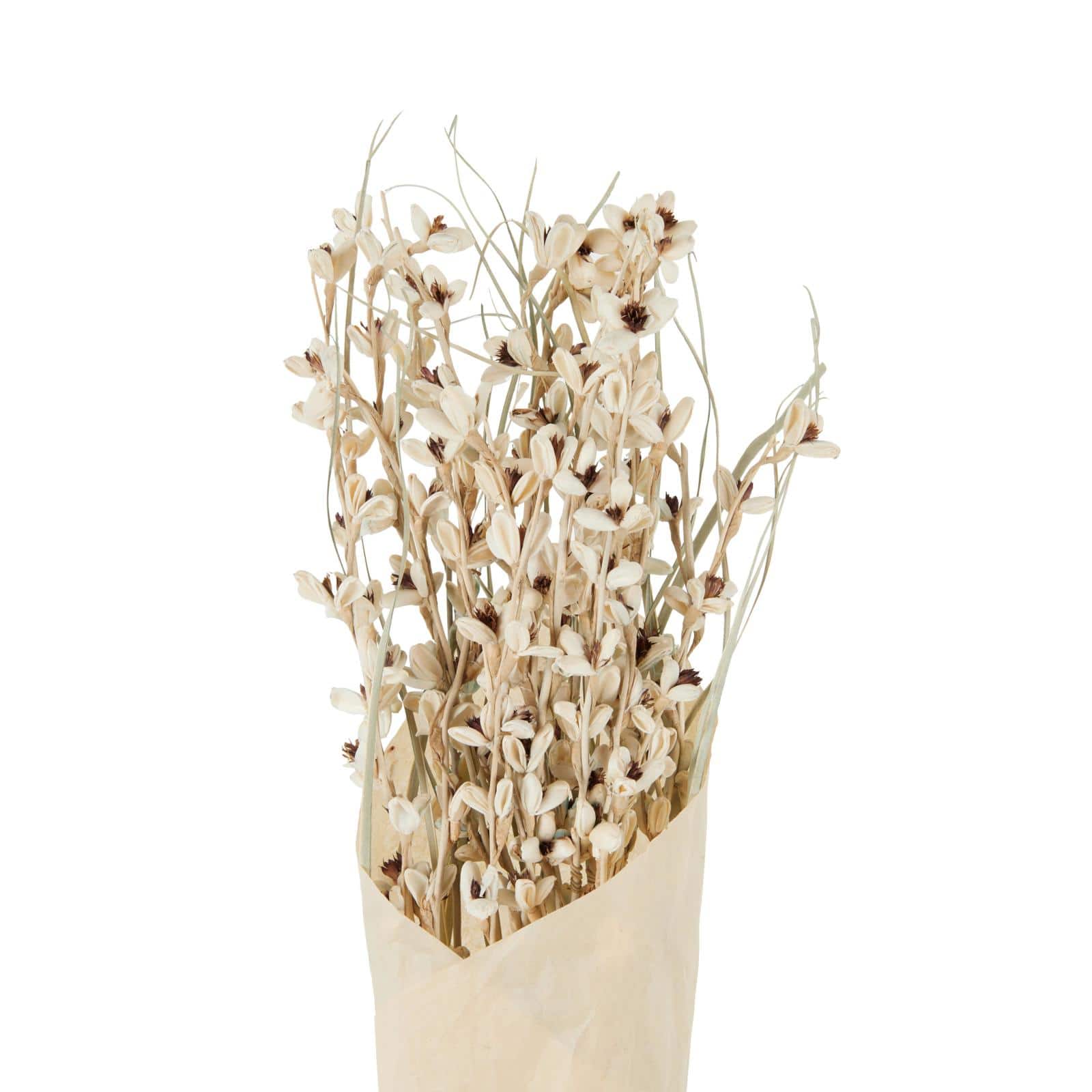 41" Cream Dried Natural Foliage Bouquet with Brown Stems