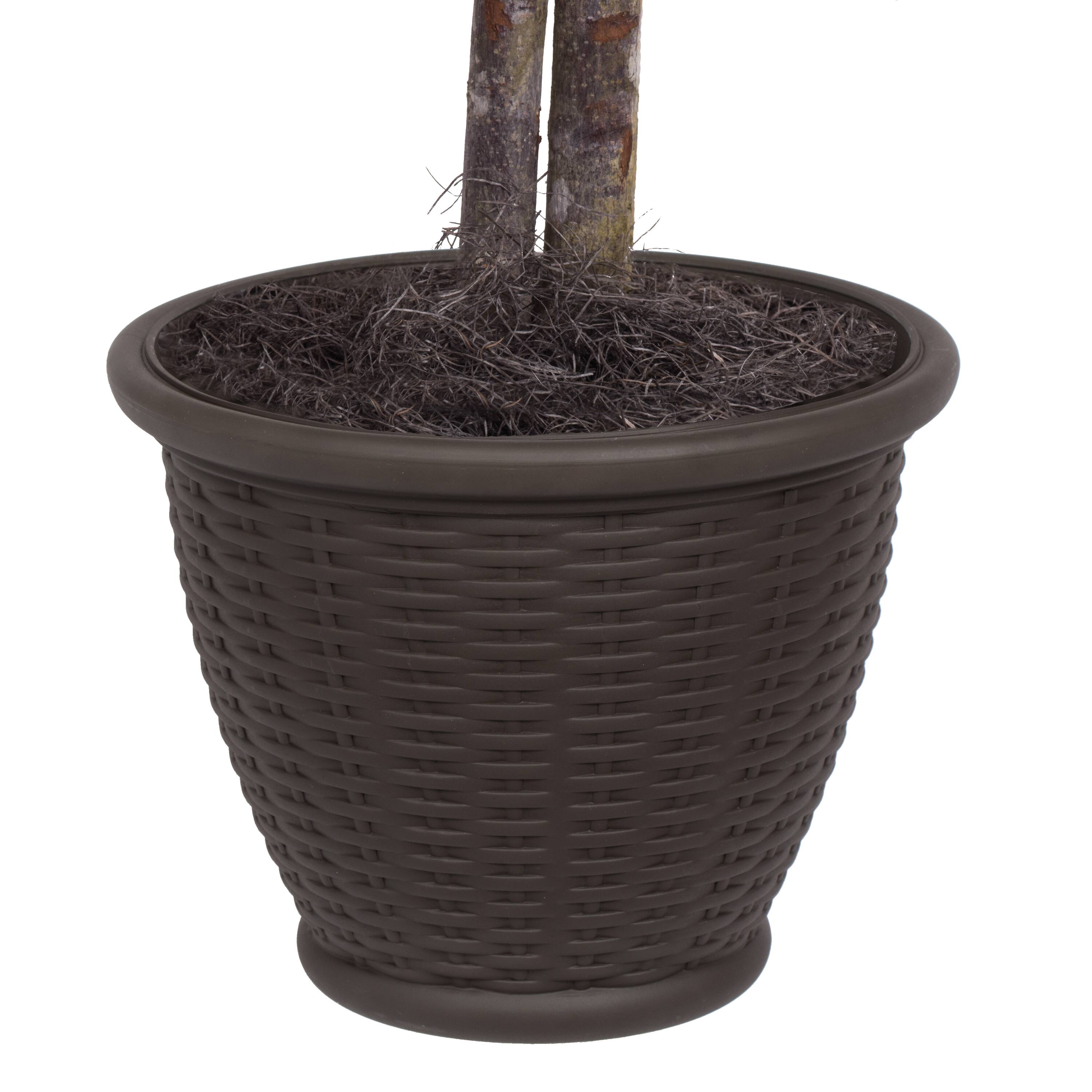 4ft. Artificial Ficus Bush with Brown Plastic Container