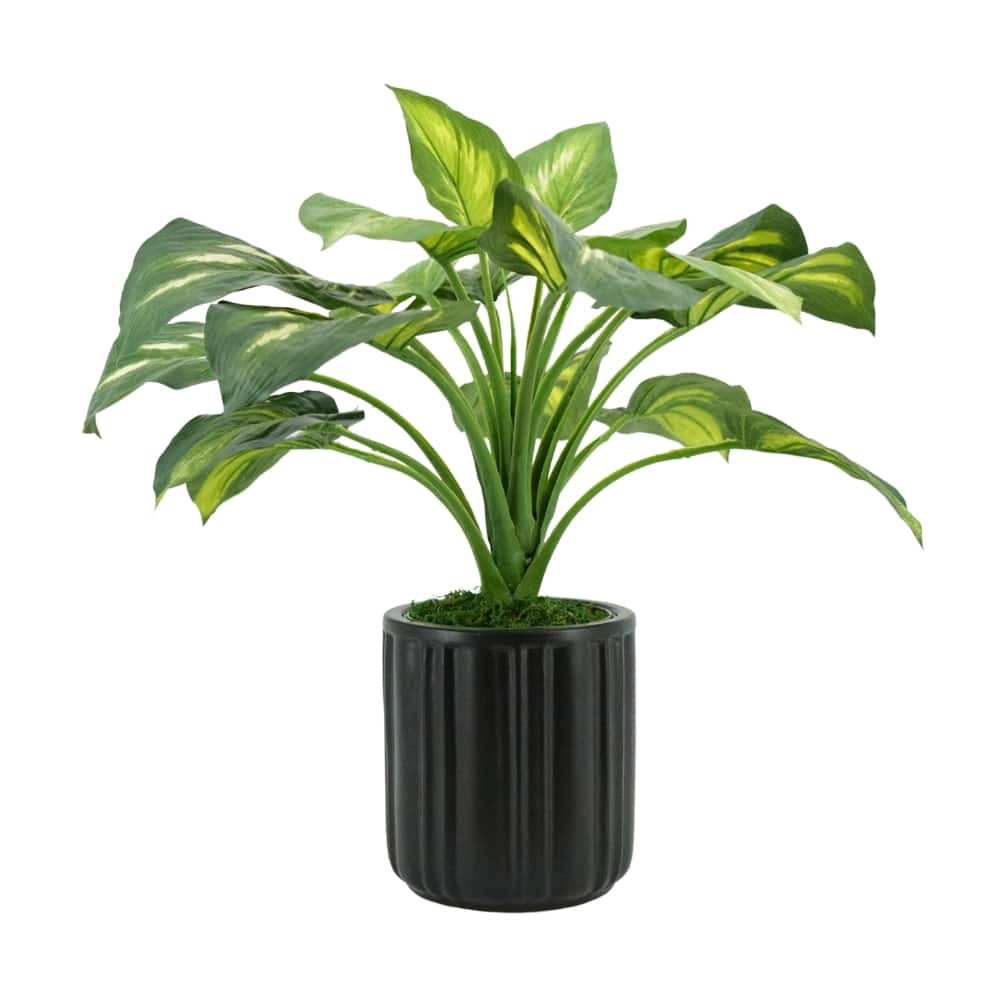 House of Silk Flowers 24" Small Faux Hosta in Classic Matte Black Ceramic Planter