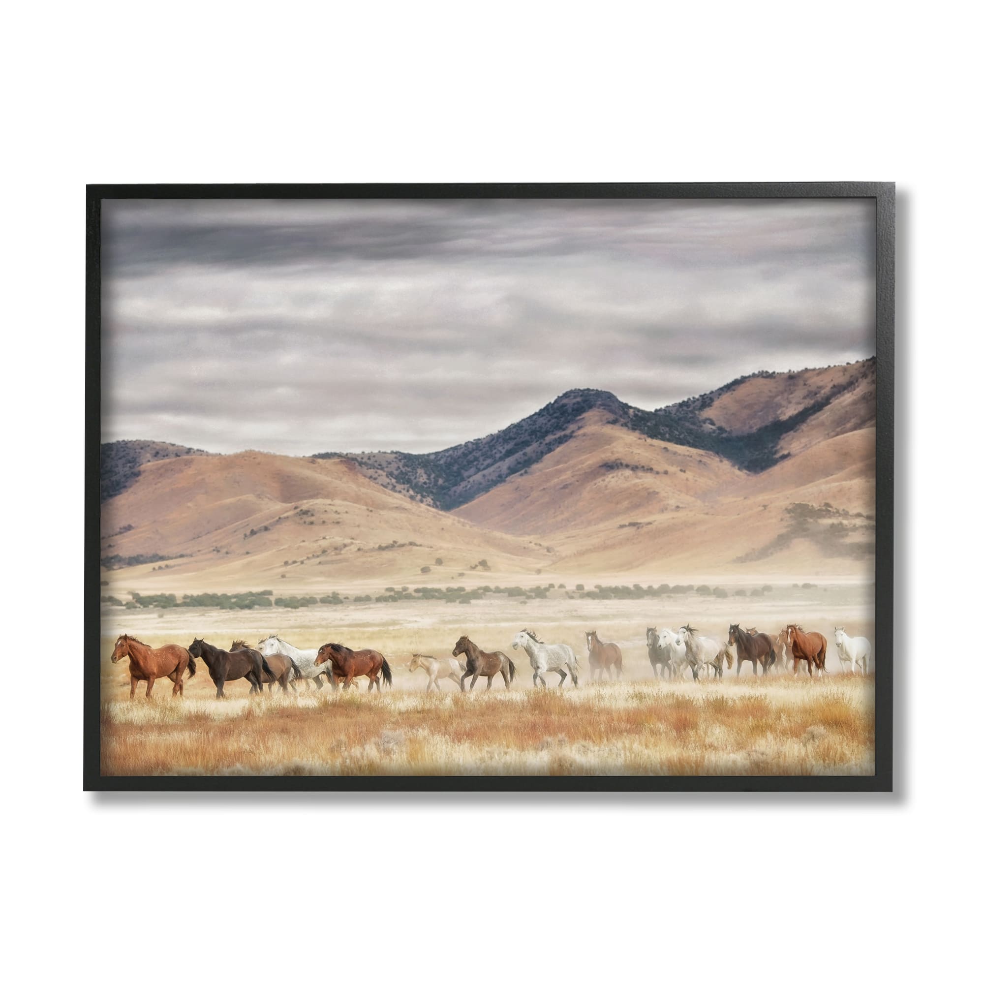 Stupell Industries Wild Horses Roaming Across Western Landscape in Black Frame Wall Art