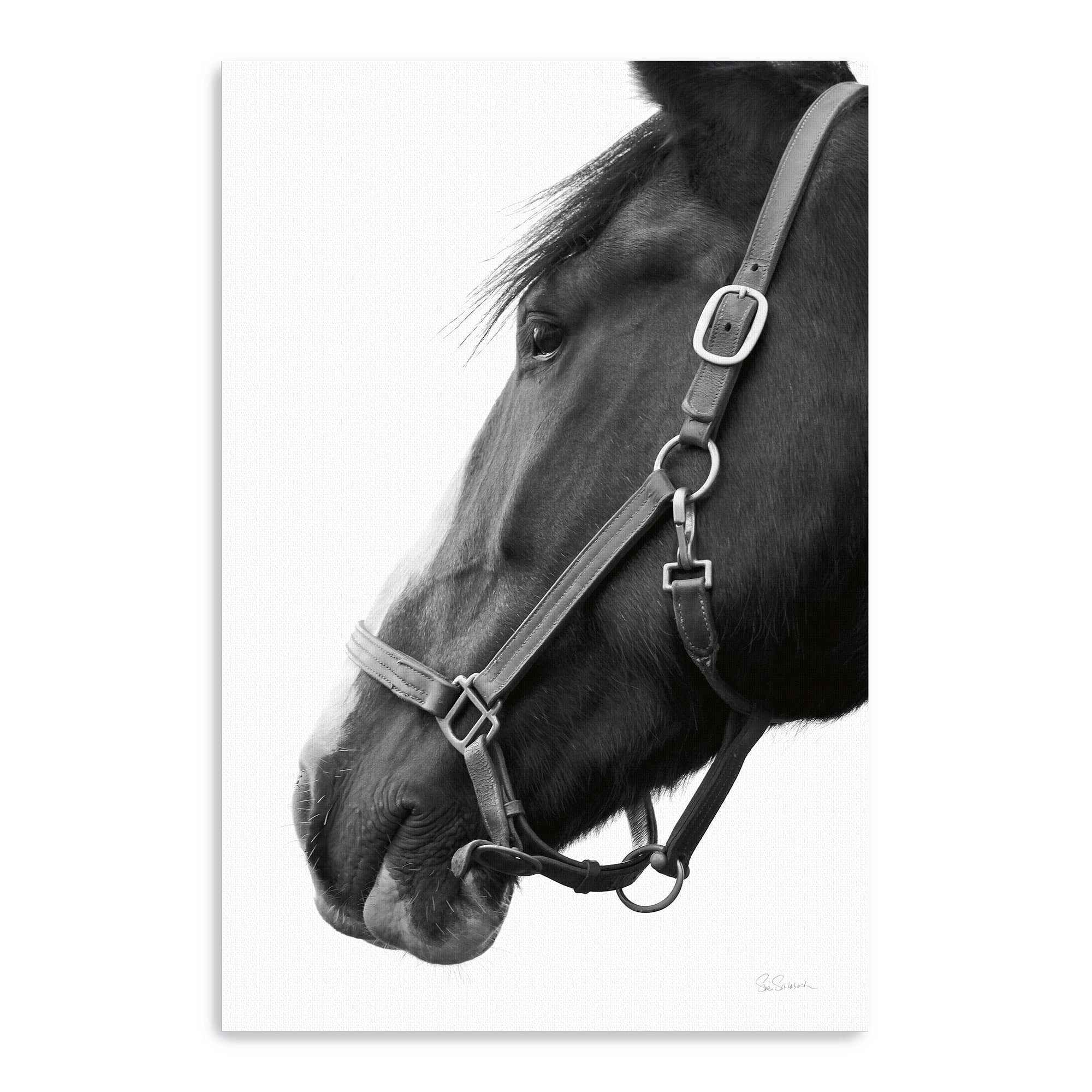 Lumaprints In Halter Canvas Giclée Art