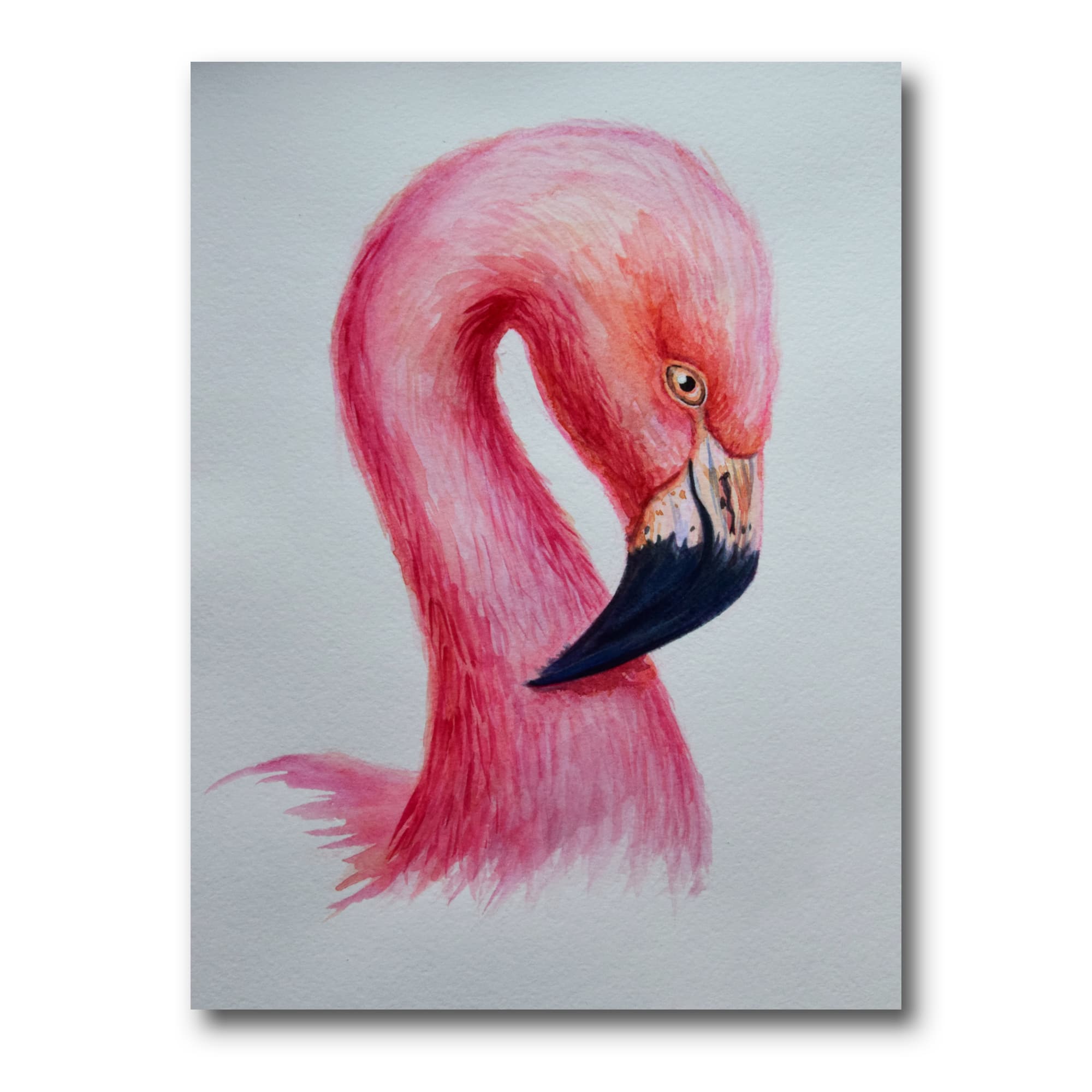 Designart - Portrait of Pink Flamingo IV - Farmhouse Canvas Wall Art Print