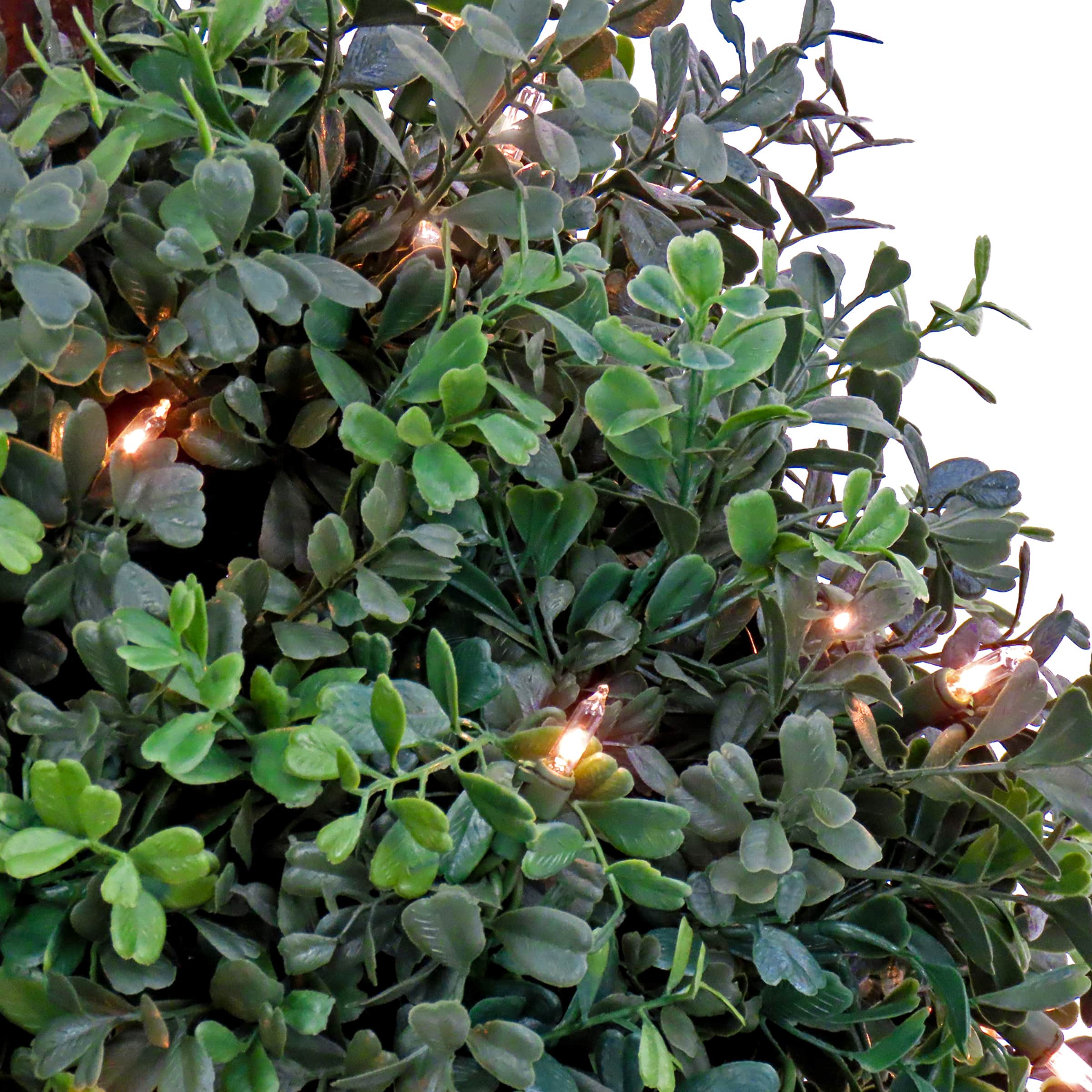 46" Pre-Lit Boxwood Double Ball Topiary in Nursery Pot