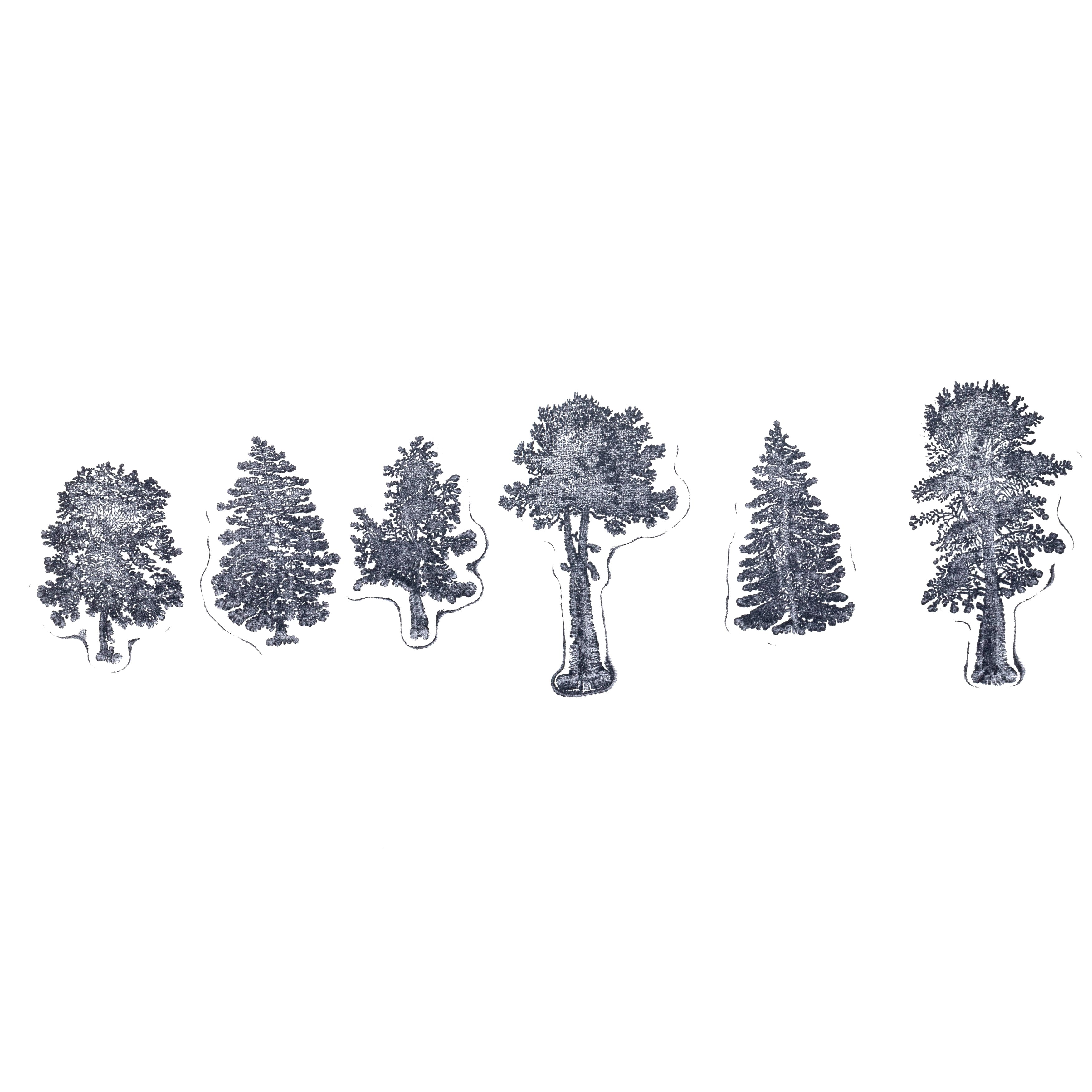 6 Pack: Trees Wood Stamp Set by Recollections™