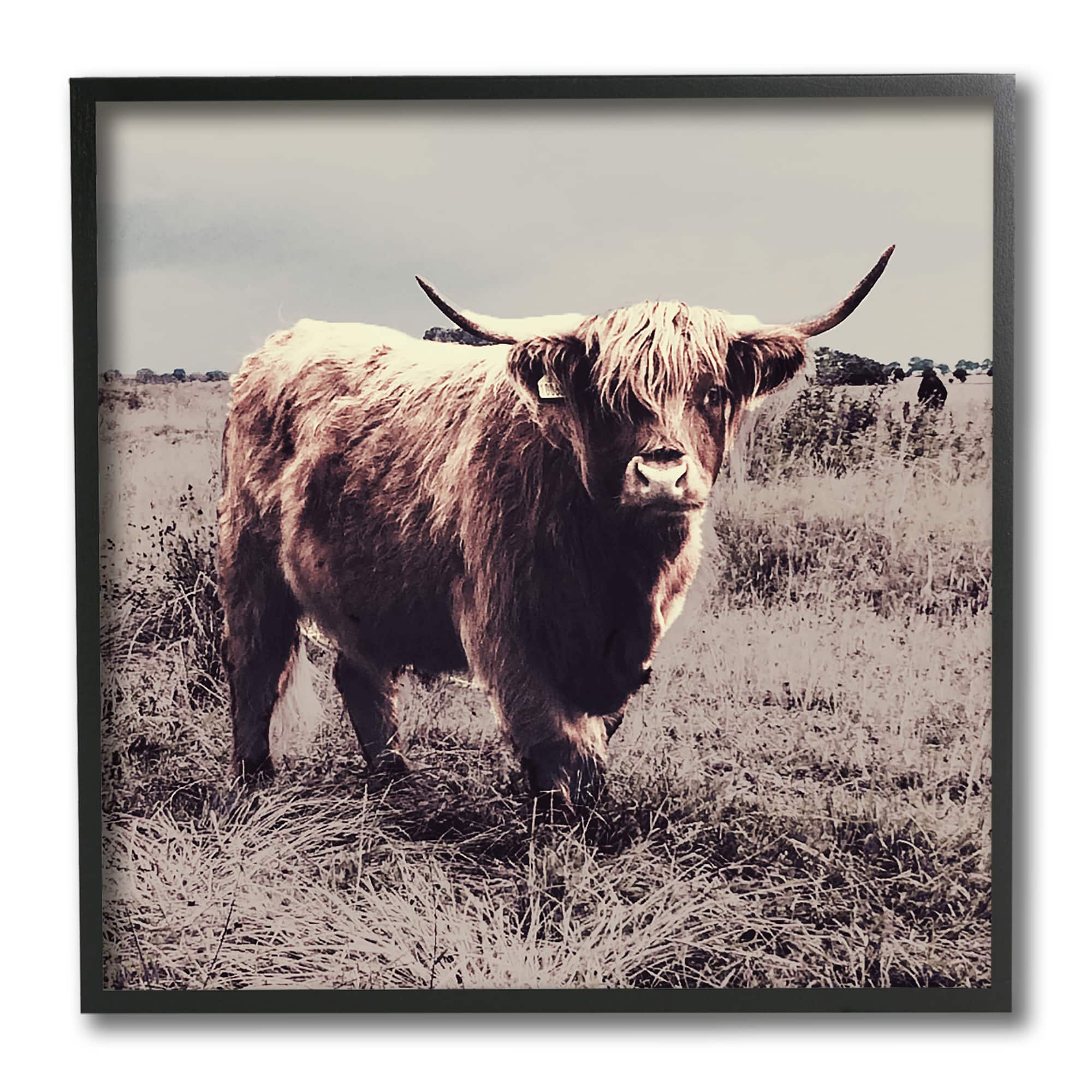 Stupell Industries Farm Cattle Rustic Vintage Styling Muted Tones,12" x 12"