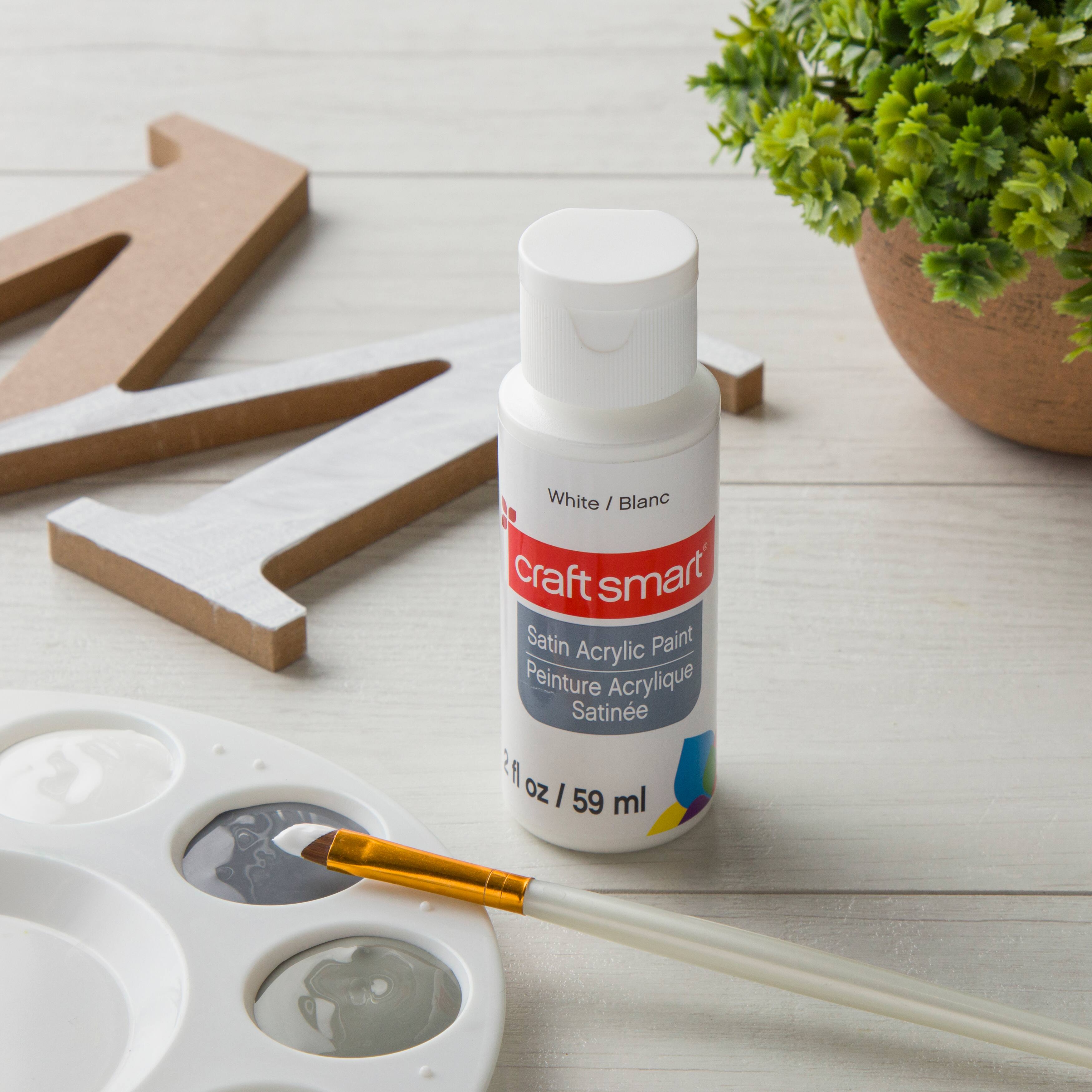 2oz. Satin Acrylic Paint by Craft Smart