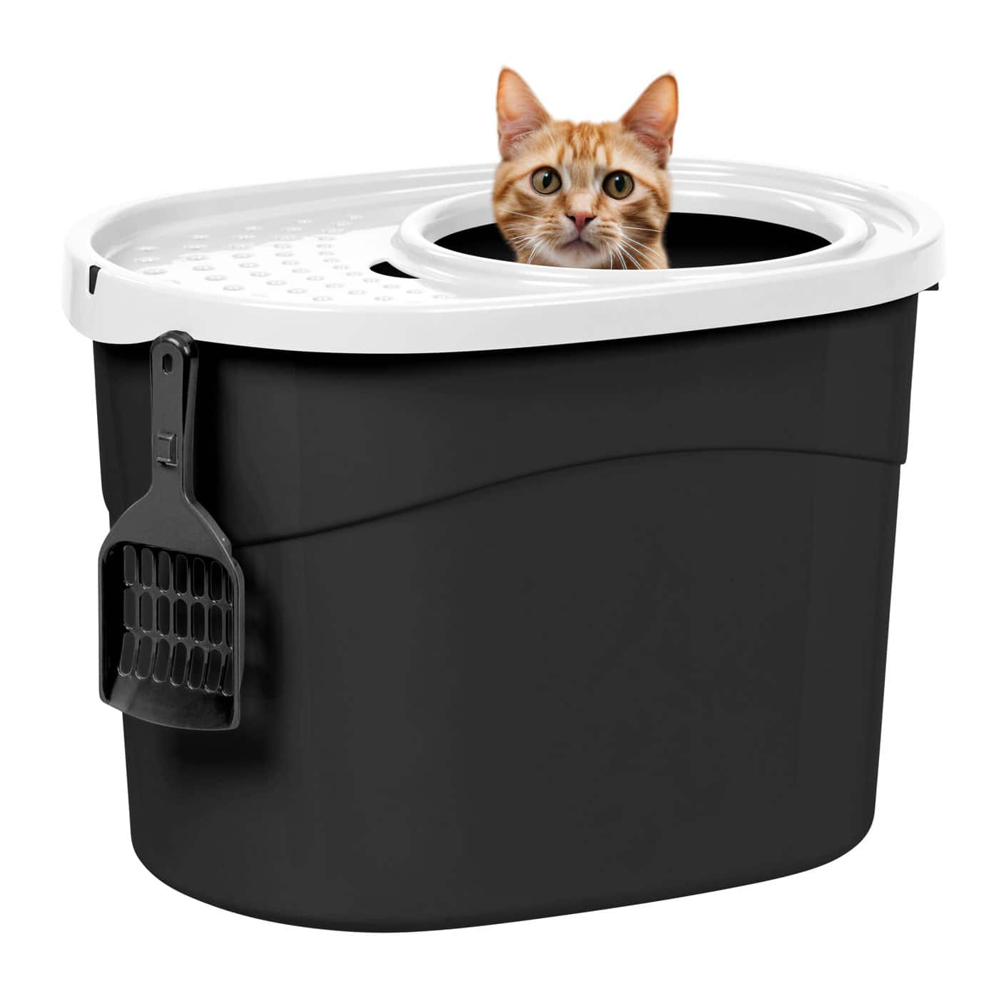 Iris® Large Top Entry Cat Litter Box with Scoop, Black