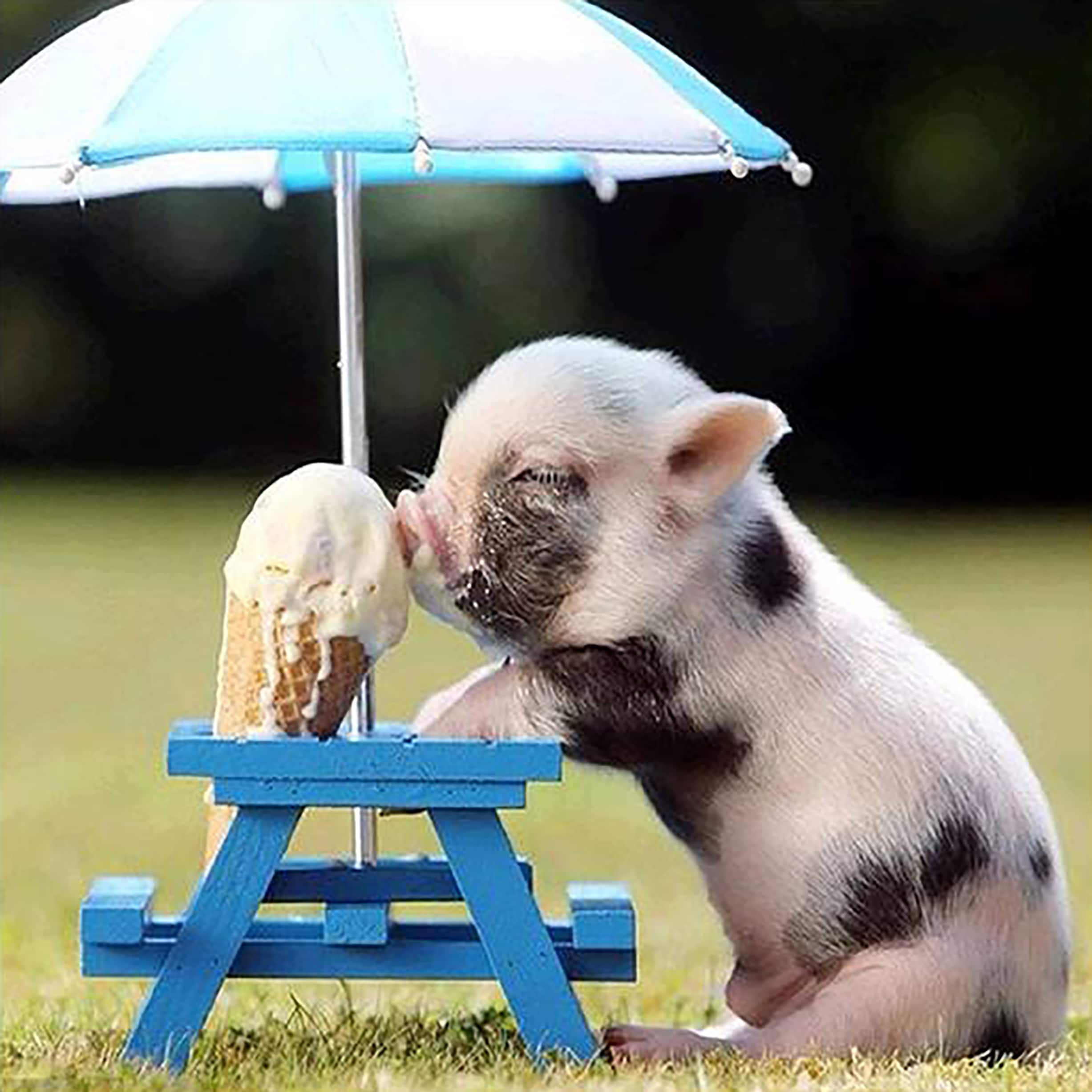 Sparkly Selections Piglet Eating Ice-Cream Diamond Art Kit