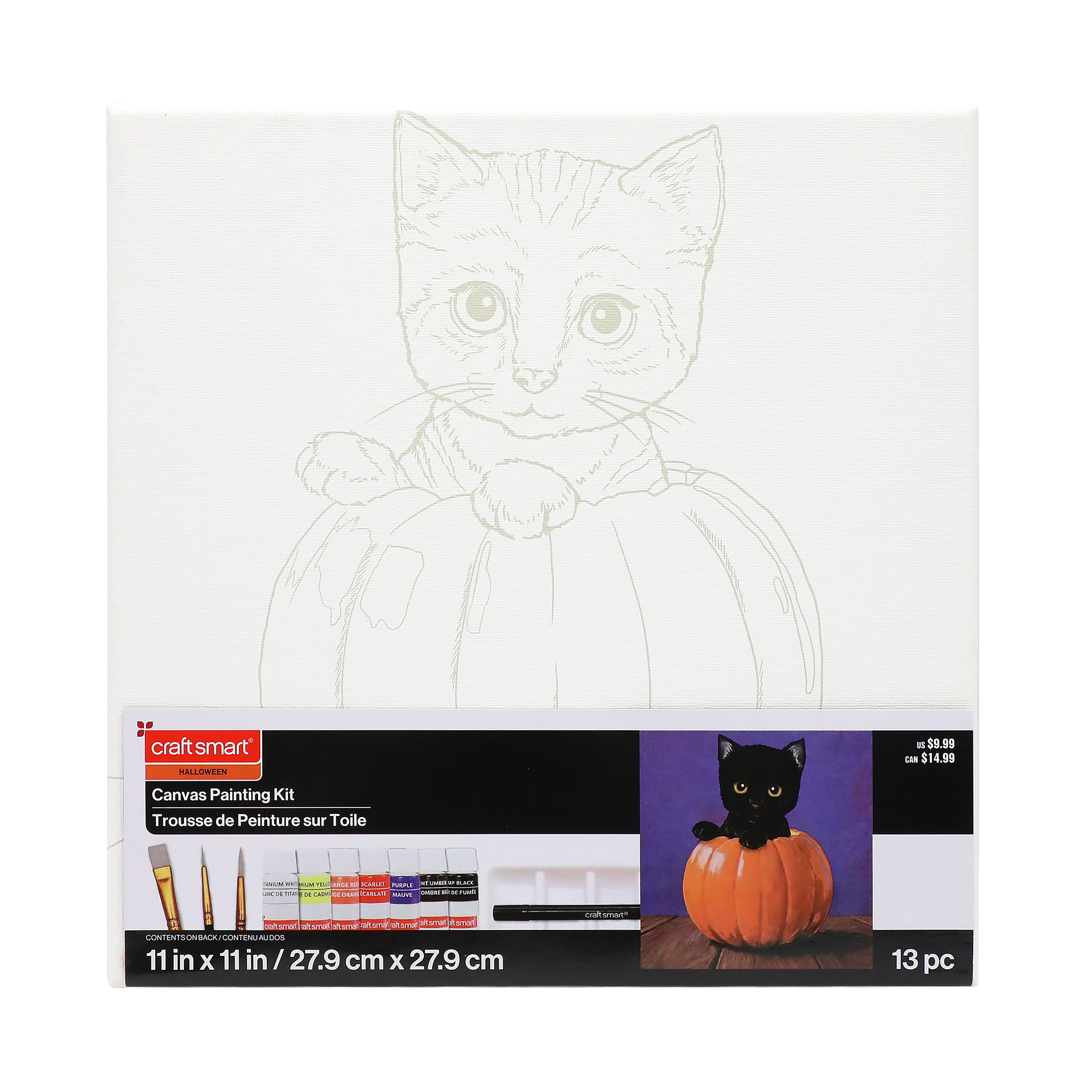 11" x 11" Cat & Pumpkin Canvas Painting Kit by Craft Smart®