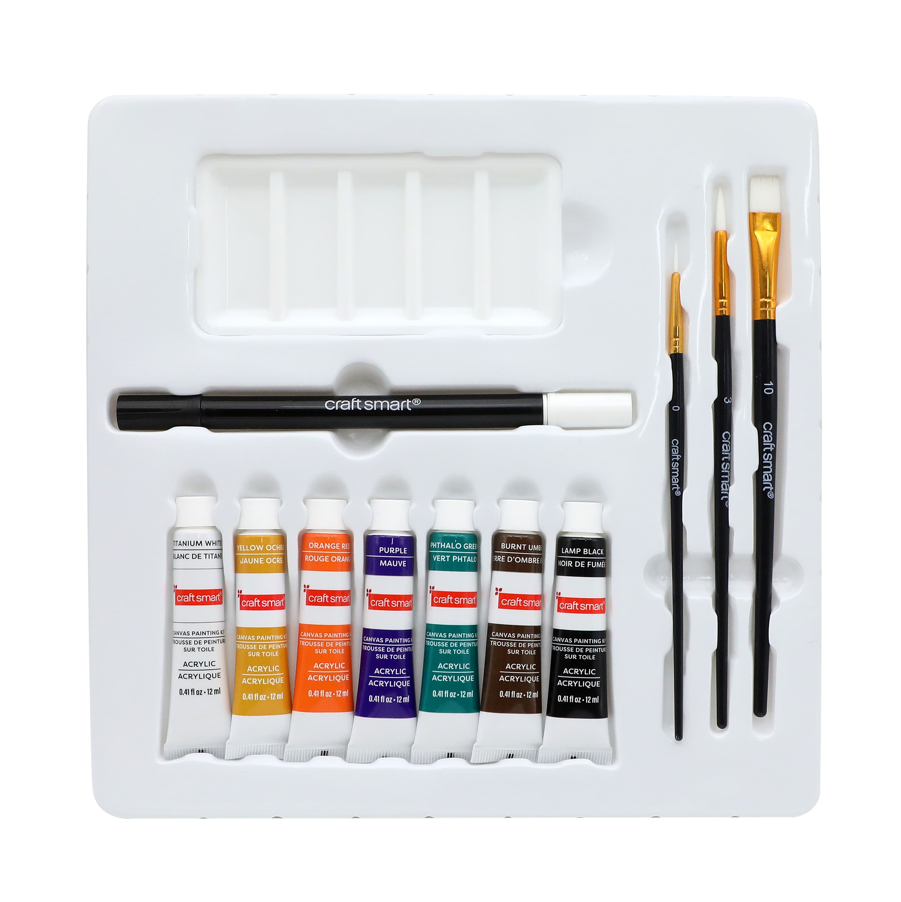 11" x 11" Trick or Treat Dog Canvas Painting Kit by Craft Smart®