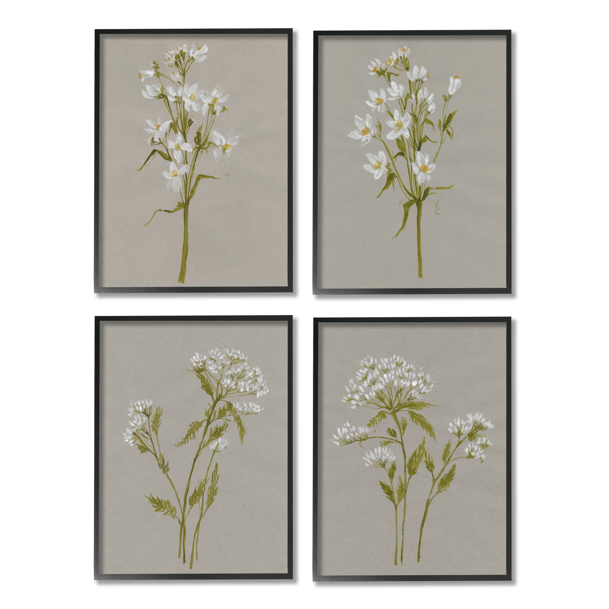 Stupell Industries Vintage White Wild Flower Study Soft Petals in Frame Wall Art