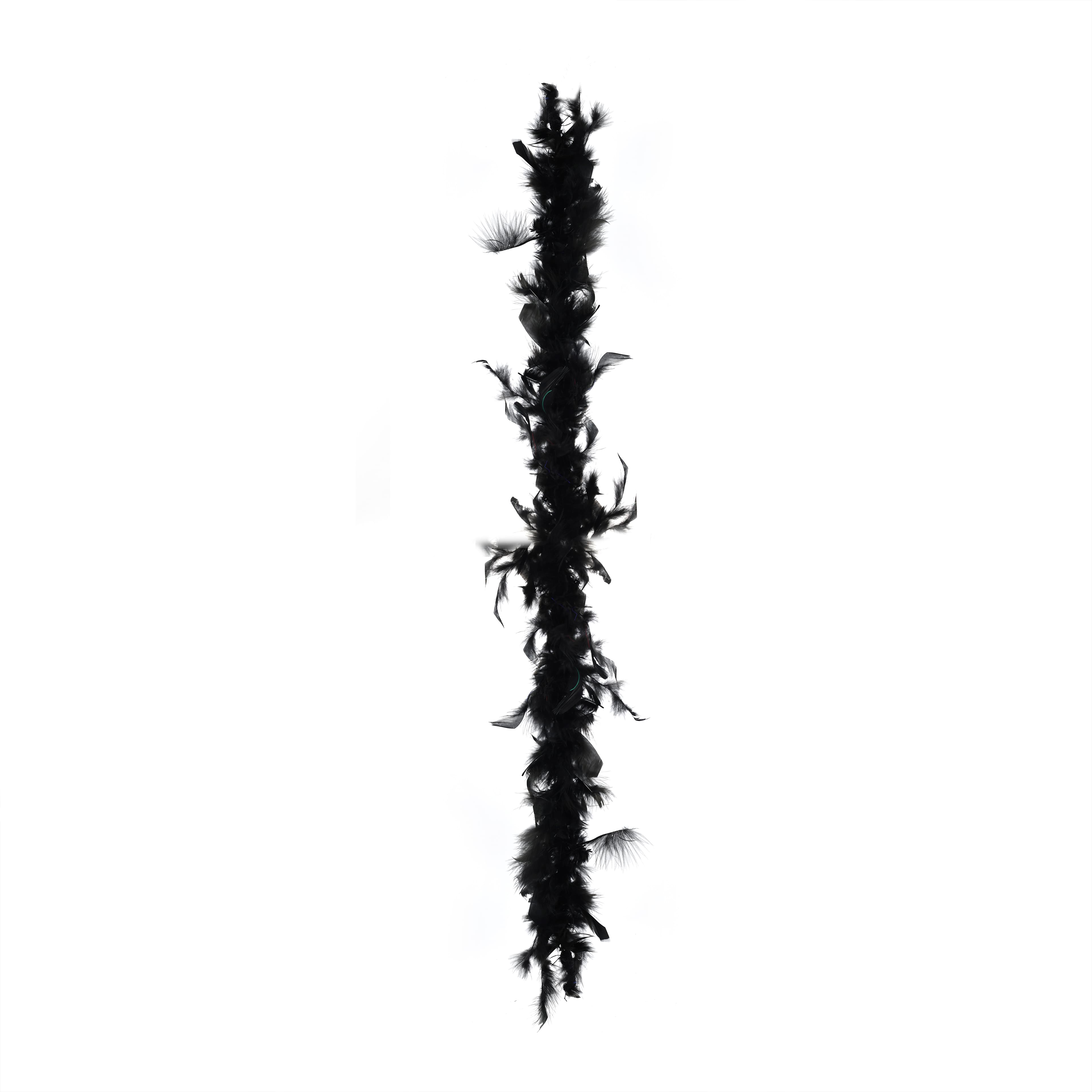 3ft. Homecoming Feather Boa by Celebrate It