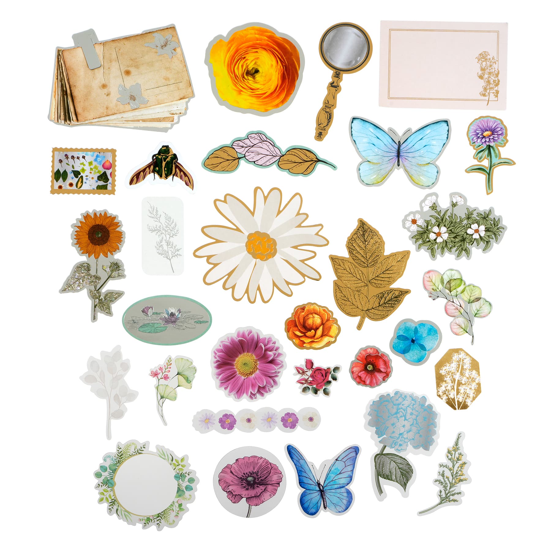 12 Pack: Flower & Plant Ephemera by Recollections™