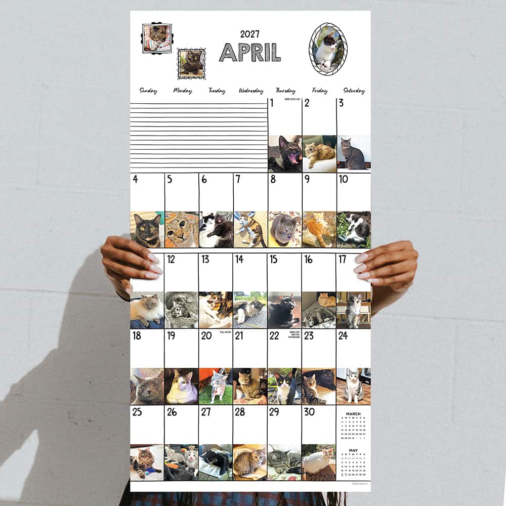2027 Cat-A-Day Wall Calendar