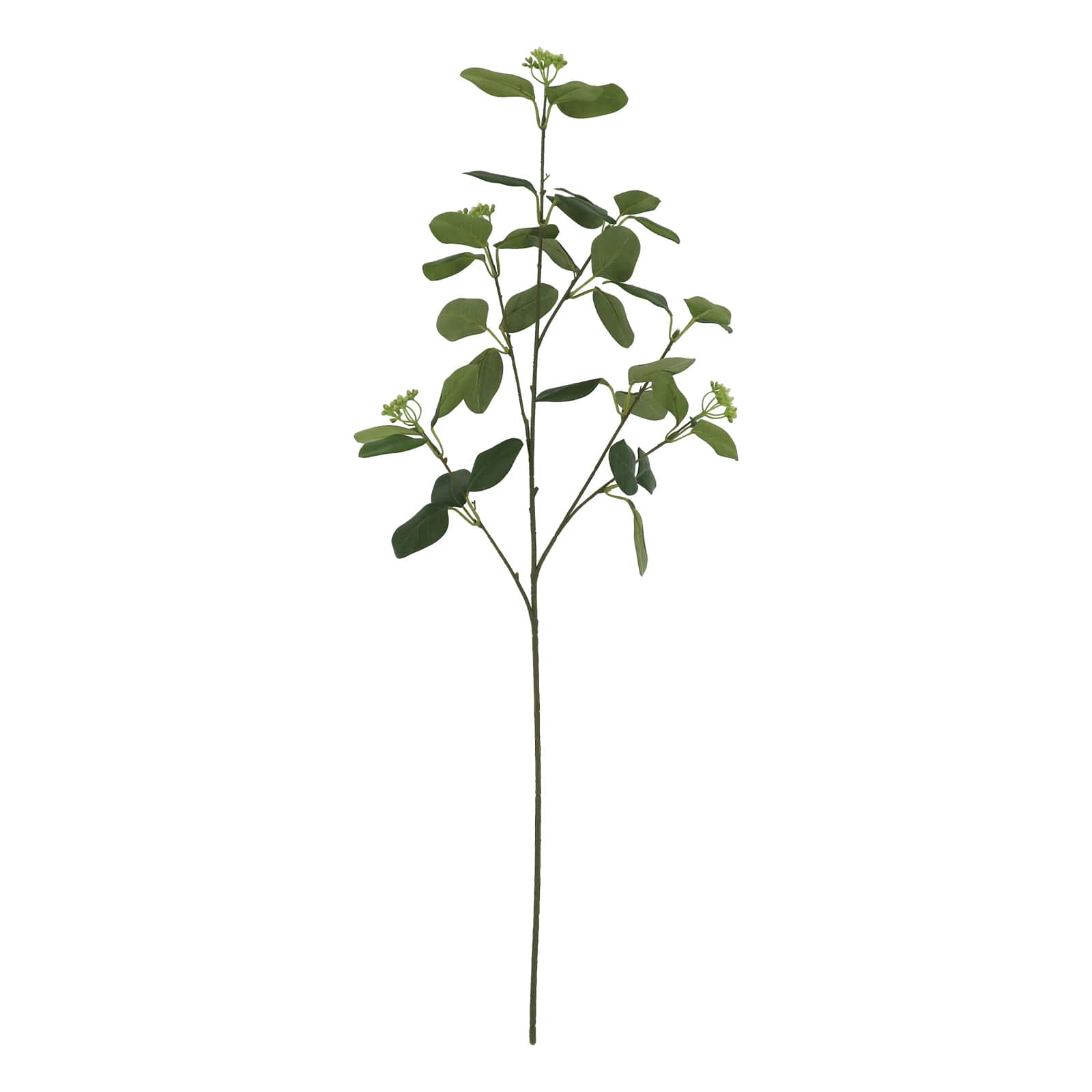 6 Pack: 37" Seeded Eucalyptus Stem by Ashland®