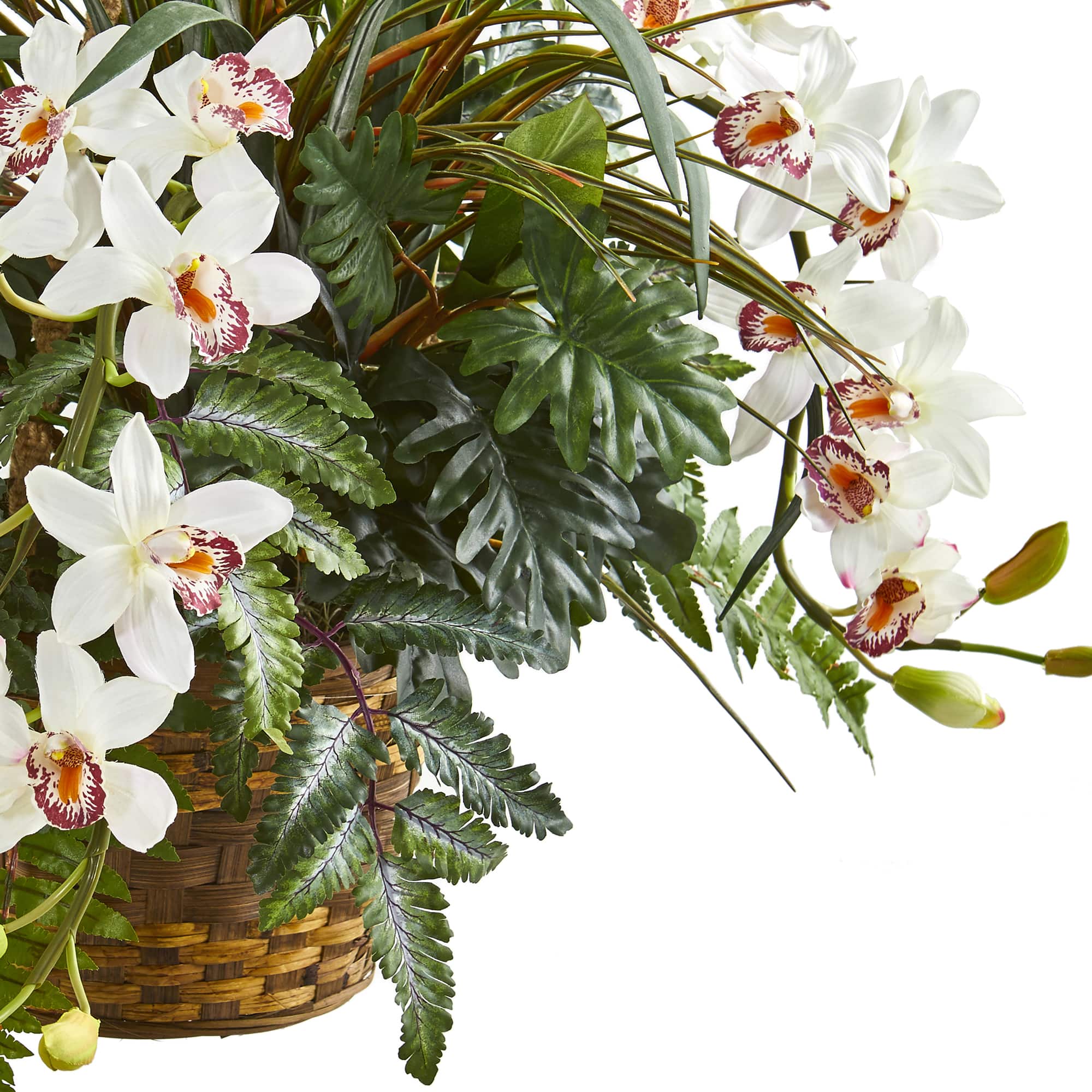 2.5ft. Orchid & Greens in Hanging Basket