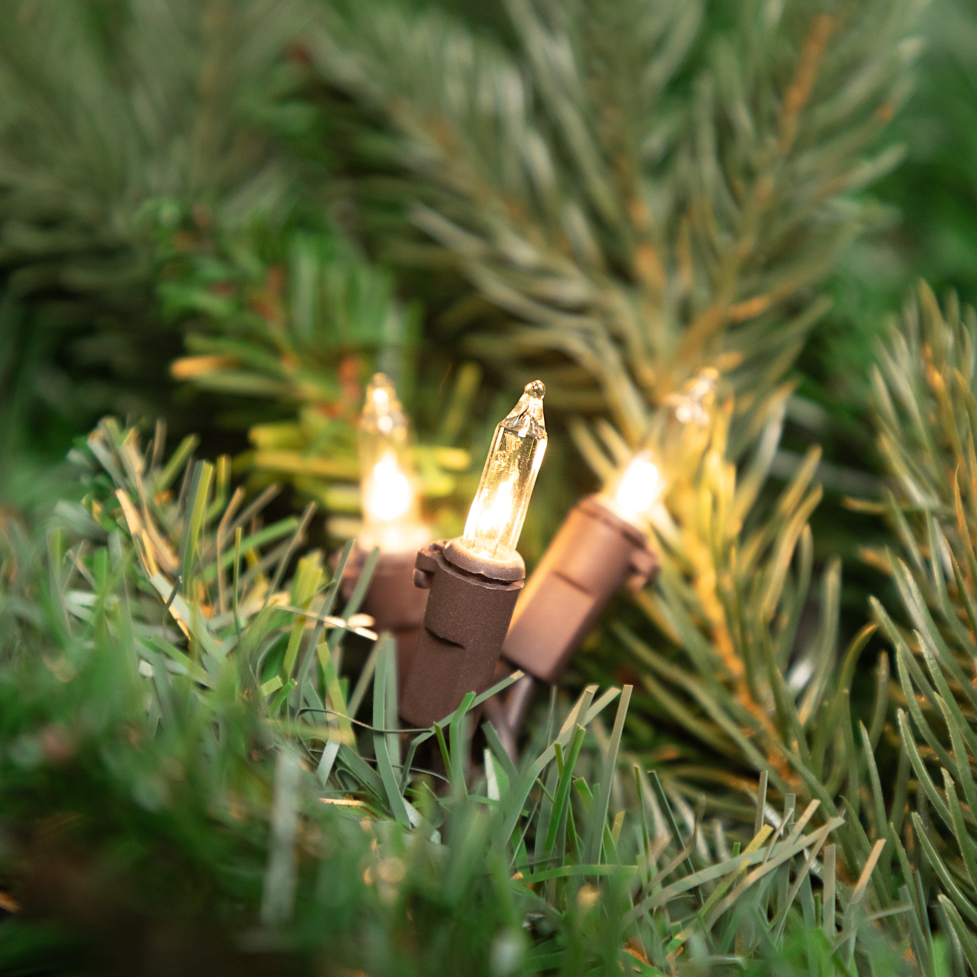 100ct. Clear Mini Christmas Light Set With Brown Wire