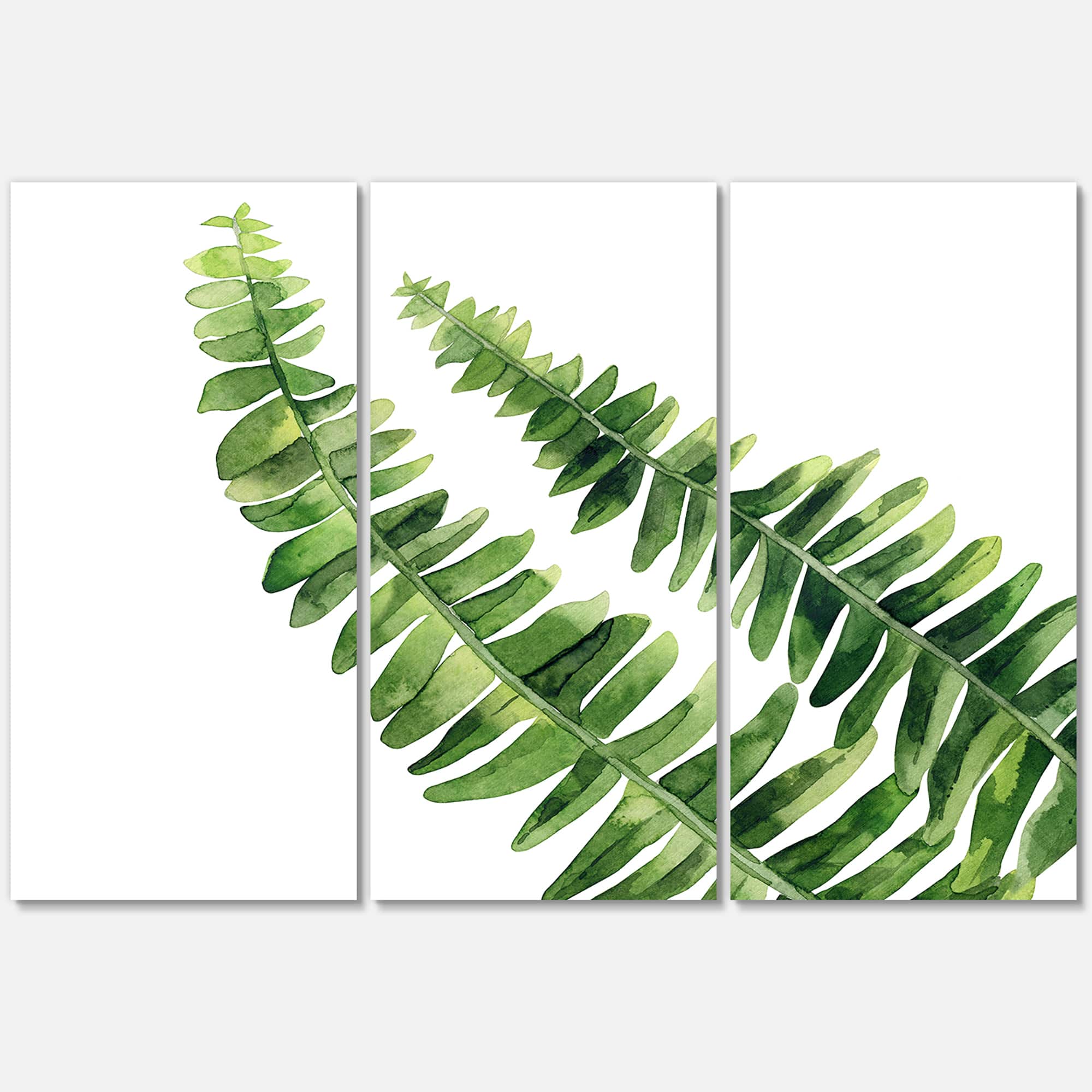 Designart - Fern Leaves Detail I - Farmhouse Canvas Wall Art Print