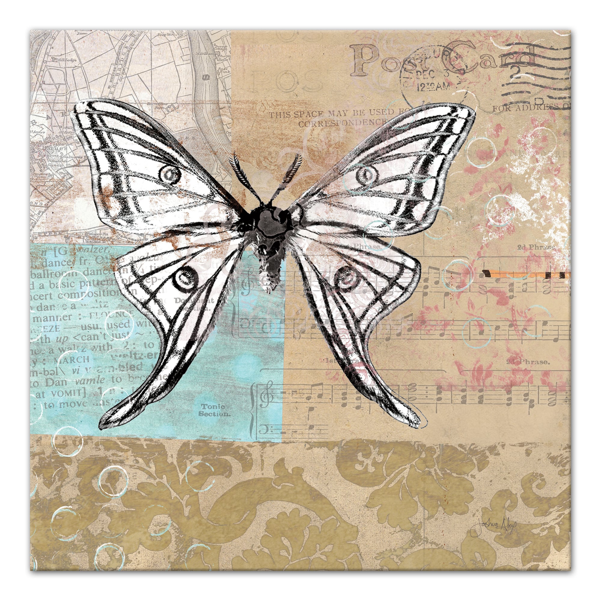 Midday Flight 20" x 20" Canvas Wall Art