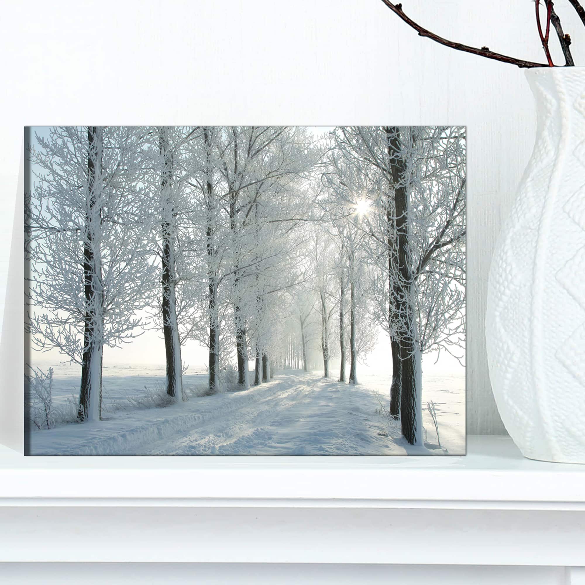 Designart - Winter Trees Backlit by Morning Sun