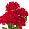12" Carnation Bush by Ashland®