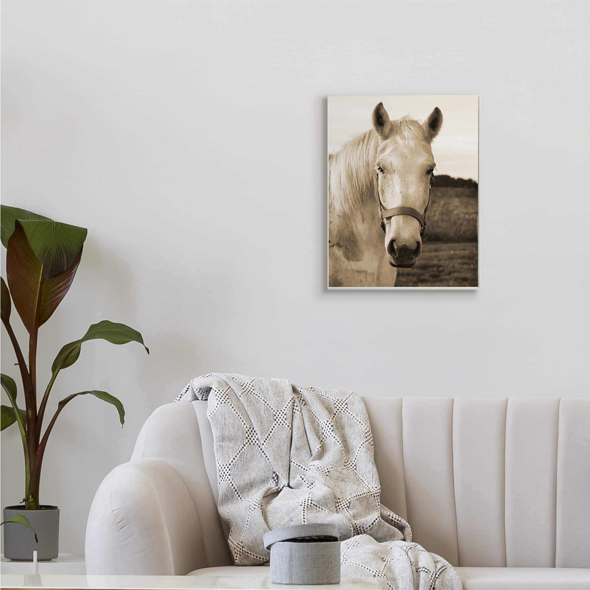 Stupell Industries Rustic Sepia tone Portrait of White Horse Wall Plaque
