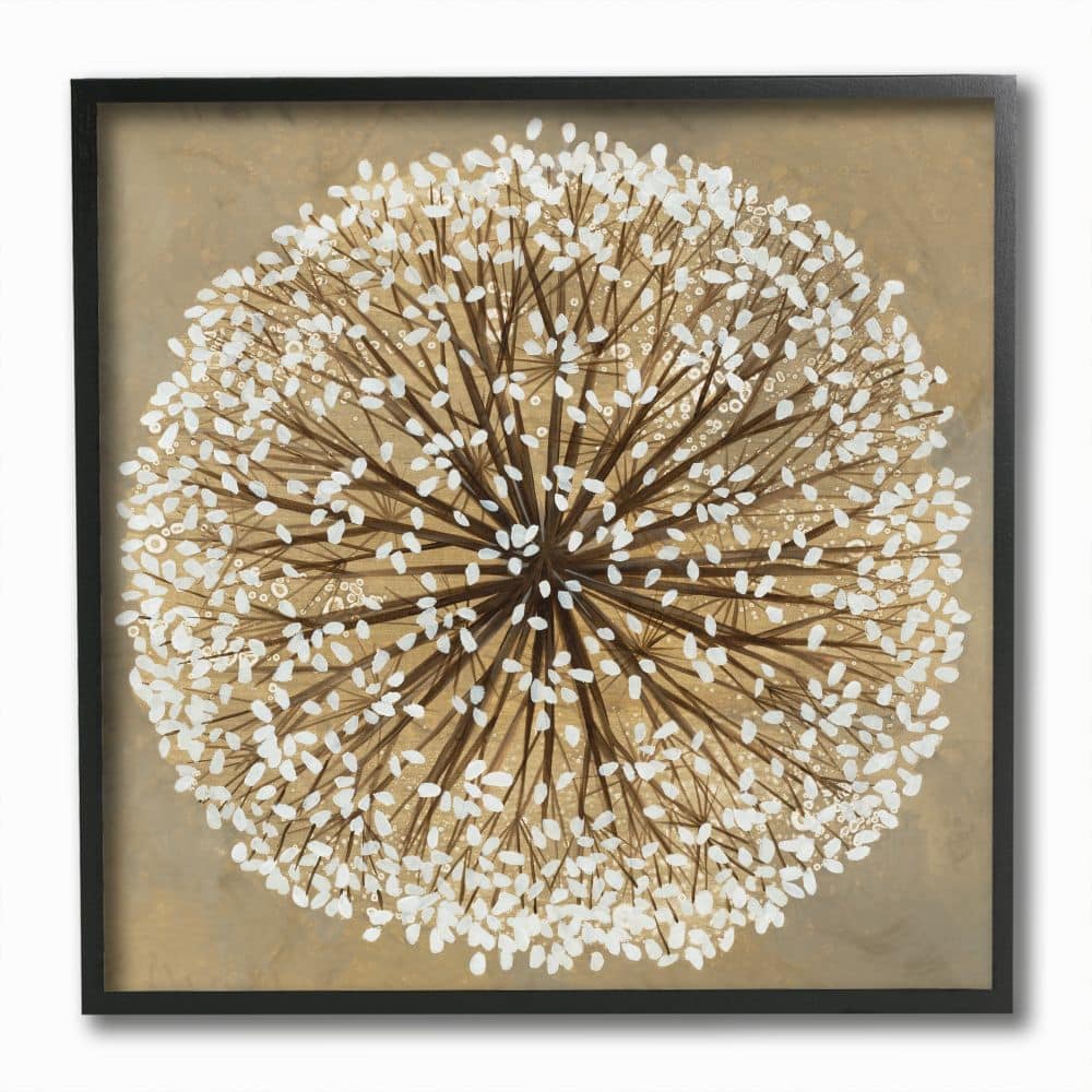 Stupell Industries Abstract Dandelion Flower Full Bloom Brown White Black Framed Wall Art