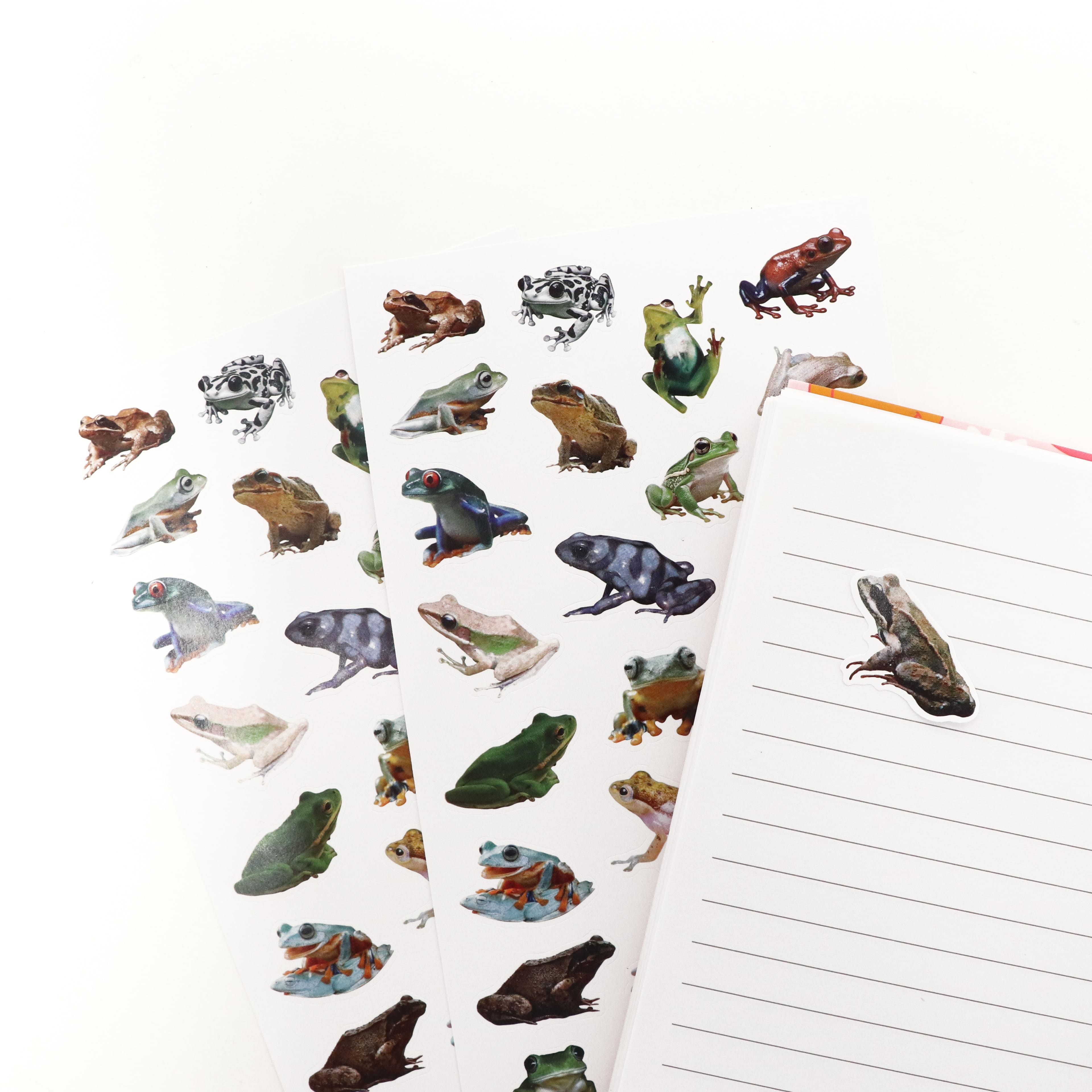 Frog Stickers by Recollections™